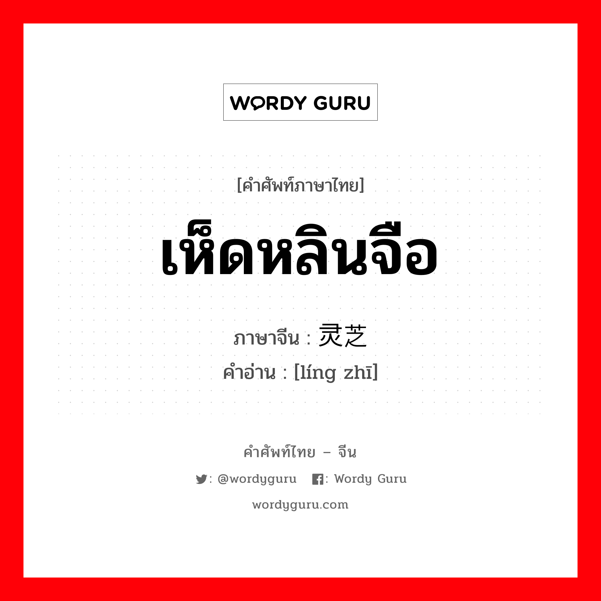 เห็ดหลินจือ ภาษาจีนคืออะไร, คำศัพท์ภาษาไทย - จีน เห็ดหลินจือ ภาษาจีน 灵芝 คำอ่าน [líng zhī]