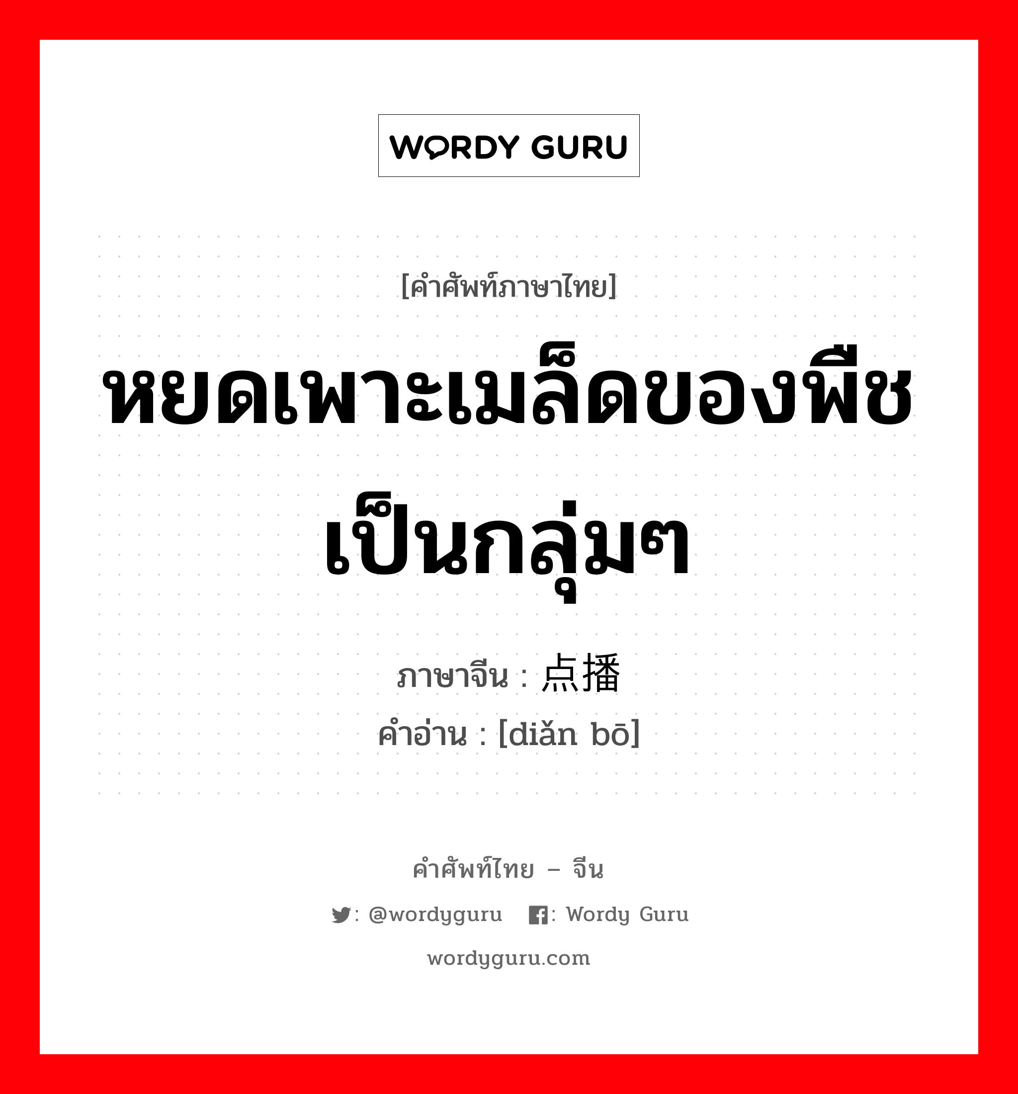 หยดเพาะเมล็ดของพืชเป็นกลุ่มๆ ภาษาจีนคืออะไร, คำศัพท์ภาษาไทย - จีน หยดเพาะเมล็ดของพืชเป็นกลุ่มๆ ภาษาจีน 点播 คำอ่าน [diǎn bō]