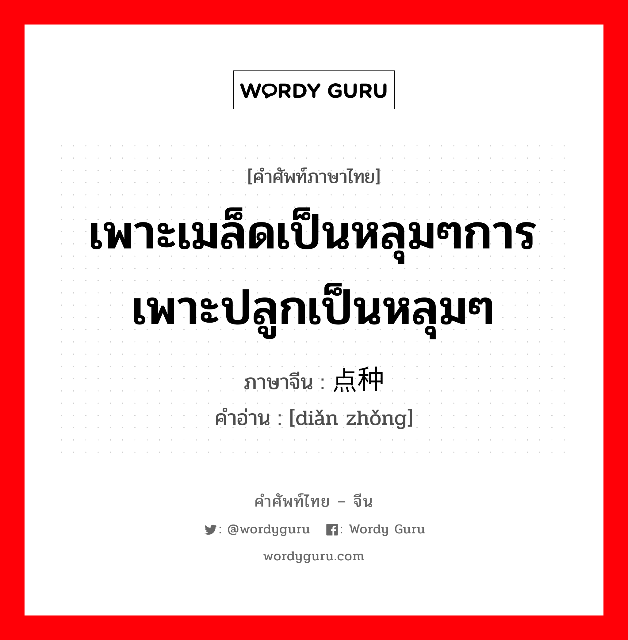 เพาะเมล็ดเป็นหลุมๆการเพาะปลูกเป็นหลุมๆ ภาษาจีนคืออะไร, คำศัพท์ภาษาไทย - จีน เพาะเมล็ดเป็นหลุมๆการเพาะปลูกเป็นหลุมๆ ภาษาจีน 点种 คำอ่าน [diǎn zhǒng]