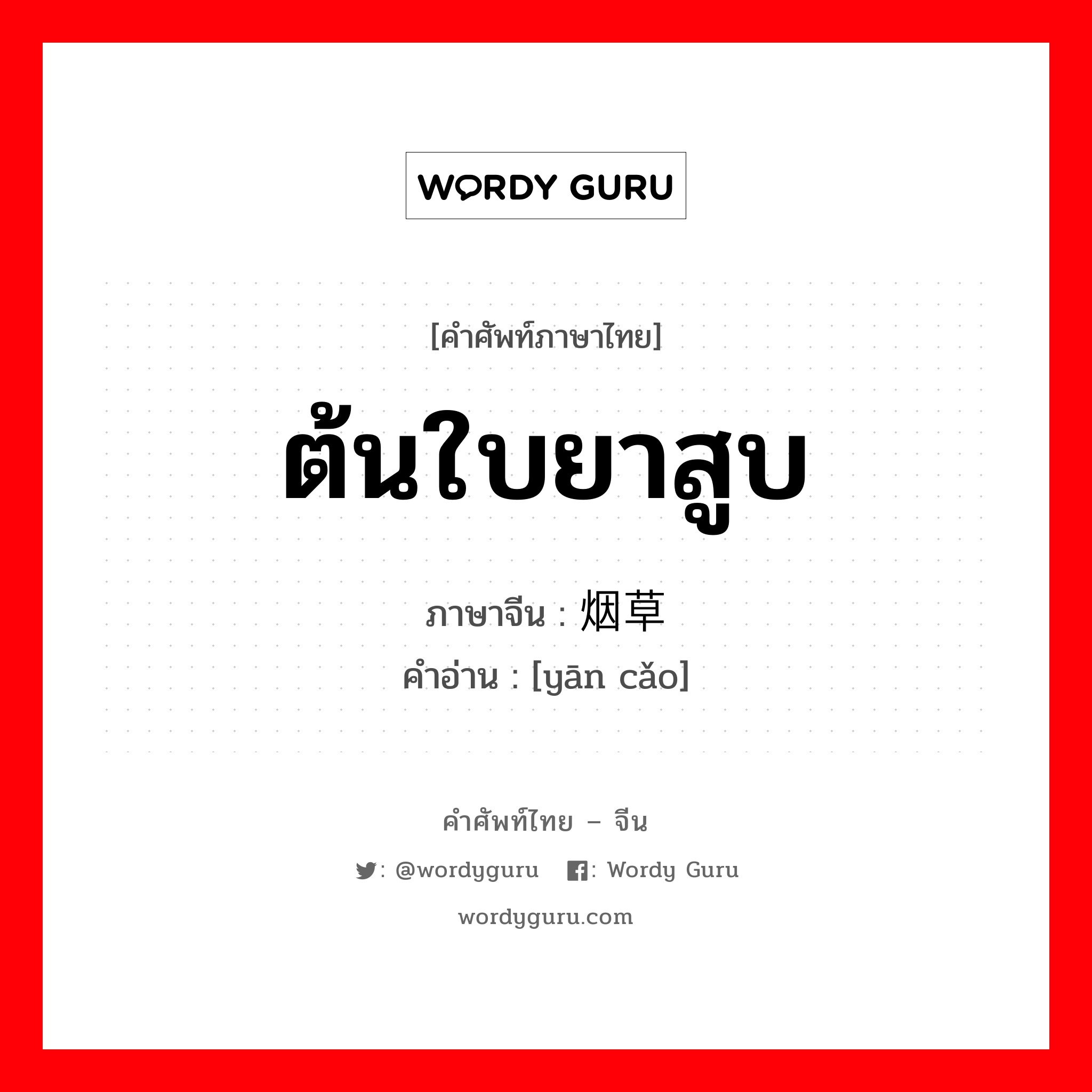 ต้นใบยาสูบ ภาษาจีนคืออะไร, คำศัพท์ภาษาไทย - จีน ต้นใบยาสูบ ภาษาจีน 烟草 คำอ่าน [yān cǎo]