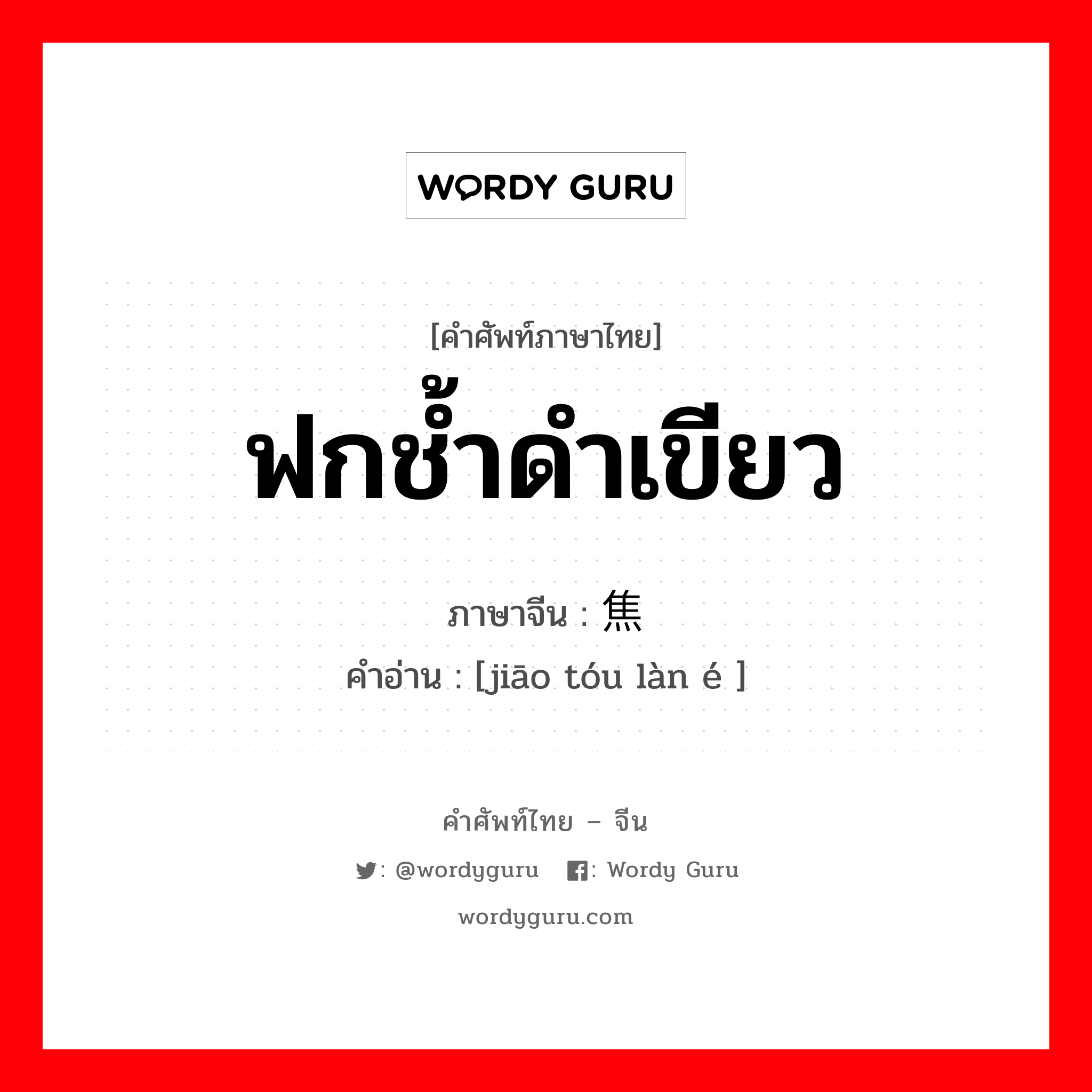 ฟกช้ำดำเขียว ภาษาจีนคืออะไร, คำศัพท์ภาษาไทย - จีน ฟกช้ำดำเขียว ภาษาจีน 焦头烂额 คำอ่าน [jiāo tóu làn é ]