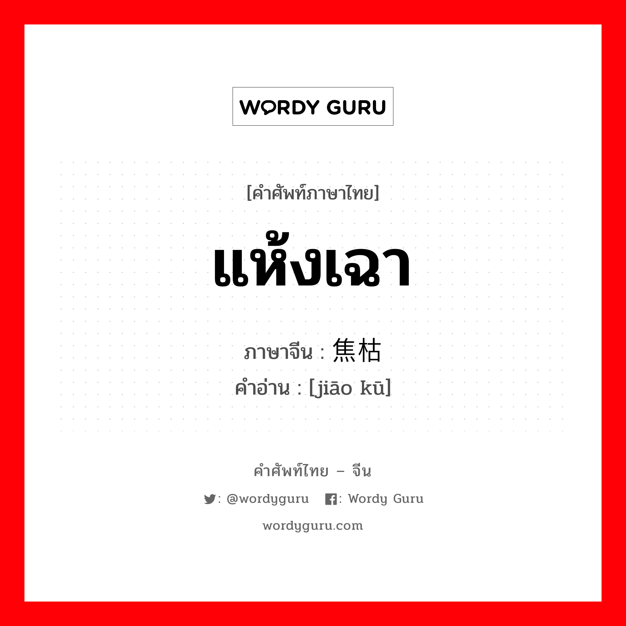 แห้งเฉา ภาษาจีนคืออะไร, คำศัพท์ภาษาไทย - จีน แห้งเฉา ภาษาจีน 焦枯 คำอ่าน [jiāo kū]