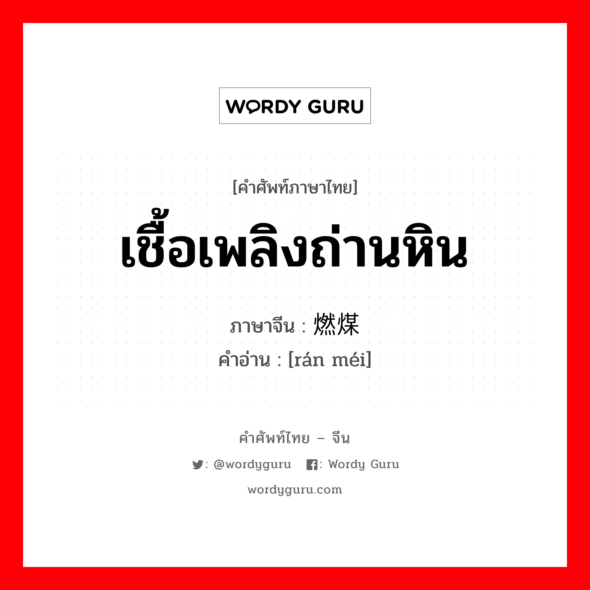 เชื้อเพลิงถ่านหิน ภาษาจีนคืออะไร, คำศัพท์ภาษาไทย - จีน เชื้อเพลิงถ่านหิน ภาษาจีน 燃煤 คำอ่าน [rán méi]