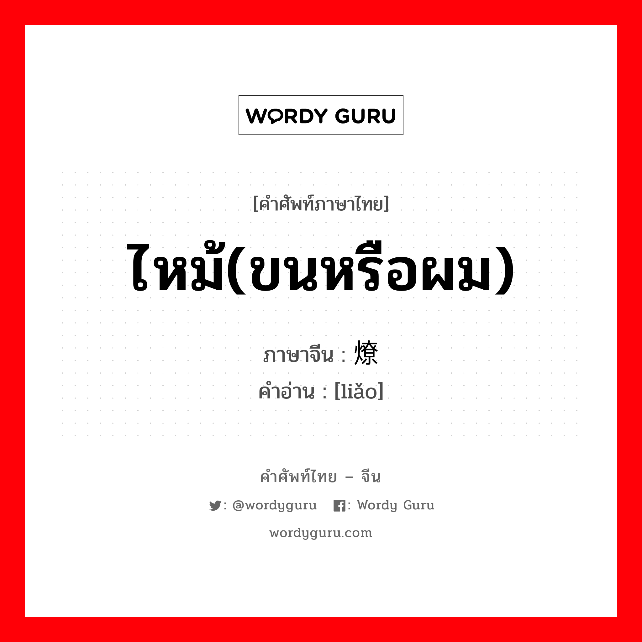 ไหม้(ขนหรือผม) ภาษาจีนคืออะไร, คำศัพท์ภาษาไทย - จีน ไหม้(ขนหรือผม) ภาษาจีน 燎 คำอ่าน [liǎo]