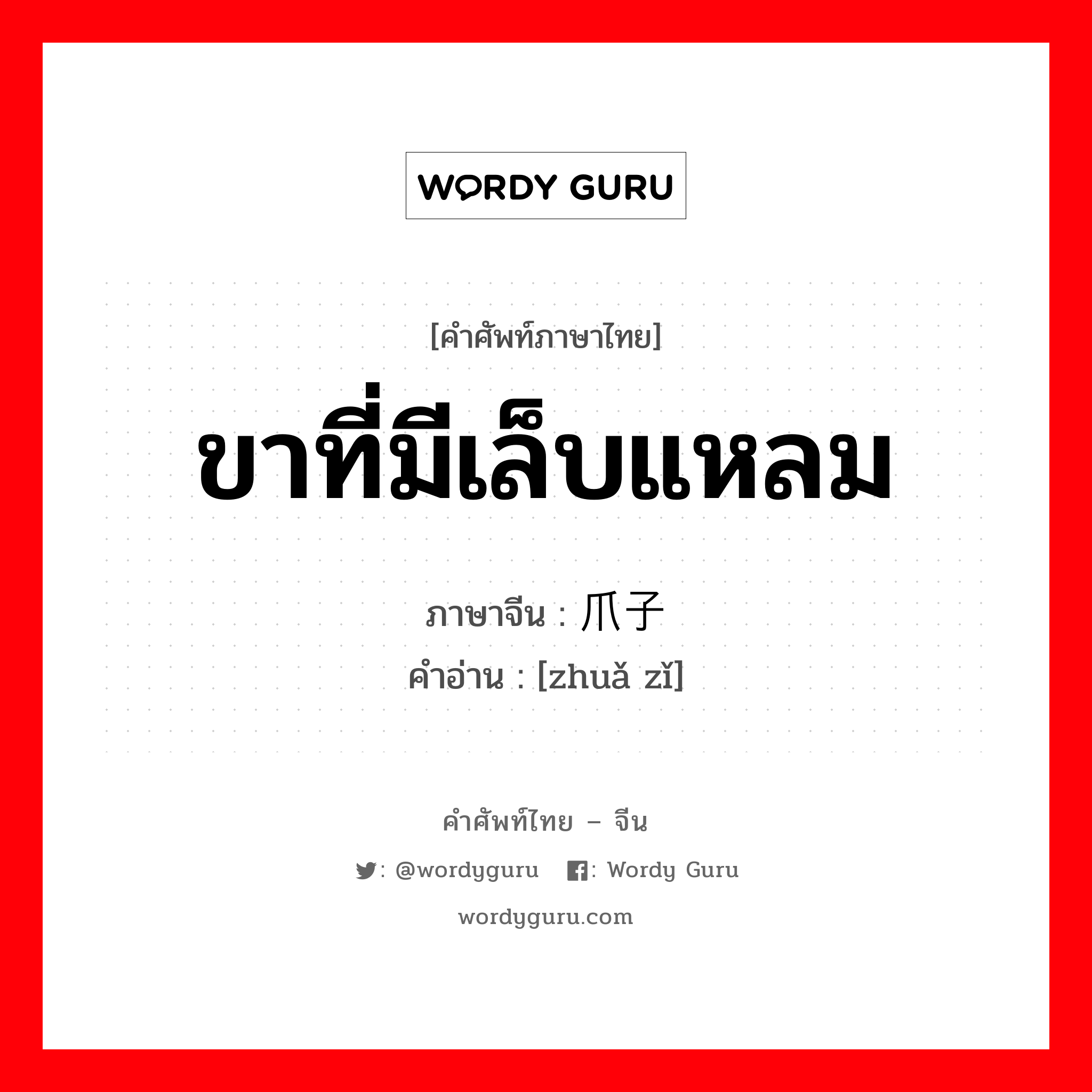 ขาที่มีเล็บแหลม ภาษาจีนคืออะไร, คำศัพท์ภาษาไทย - จีน ขาที่มีเล็บแหลม ภาษาจีน 爪子 คำอ่าน [zhuǎ zǐ]