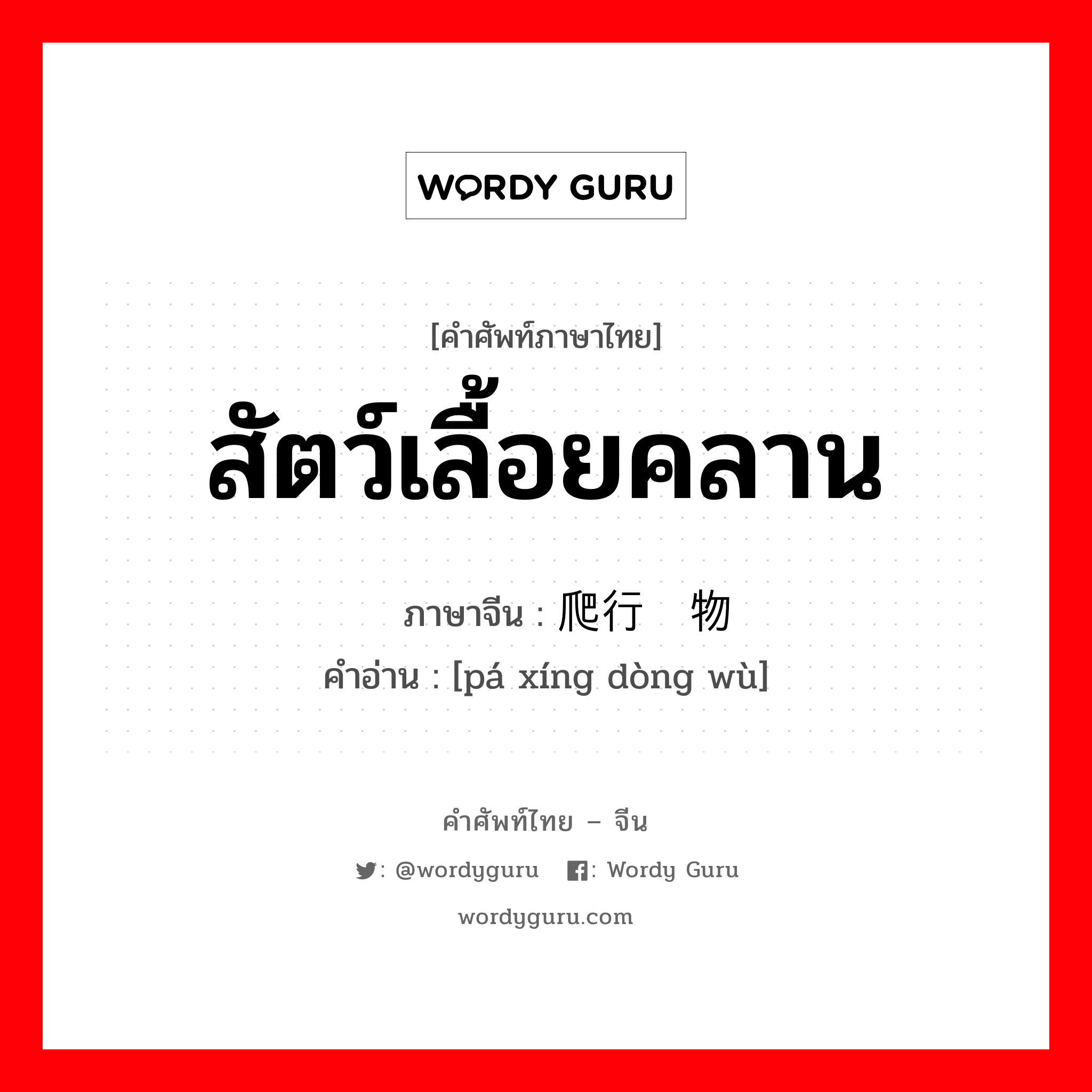 สัตว์เลื้อยคลาน ภาษาจีนคืออะไร, คำศัพท์ภาษาไทย - จีน สัตว์เลื้อยคลาน ภาษาจีน 爬行动物 คำอ่าน [pá xíng dòng wù]