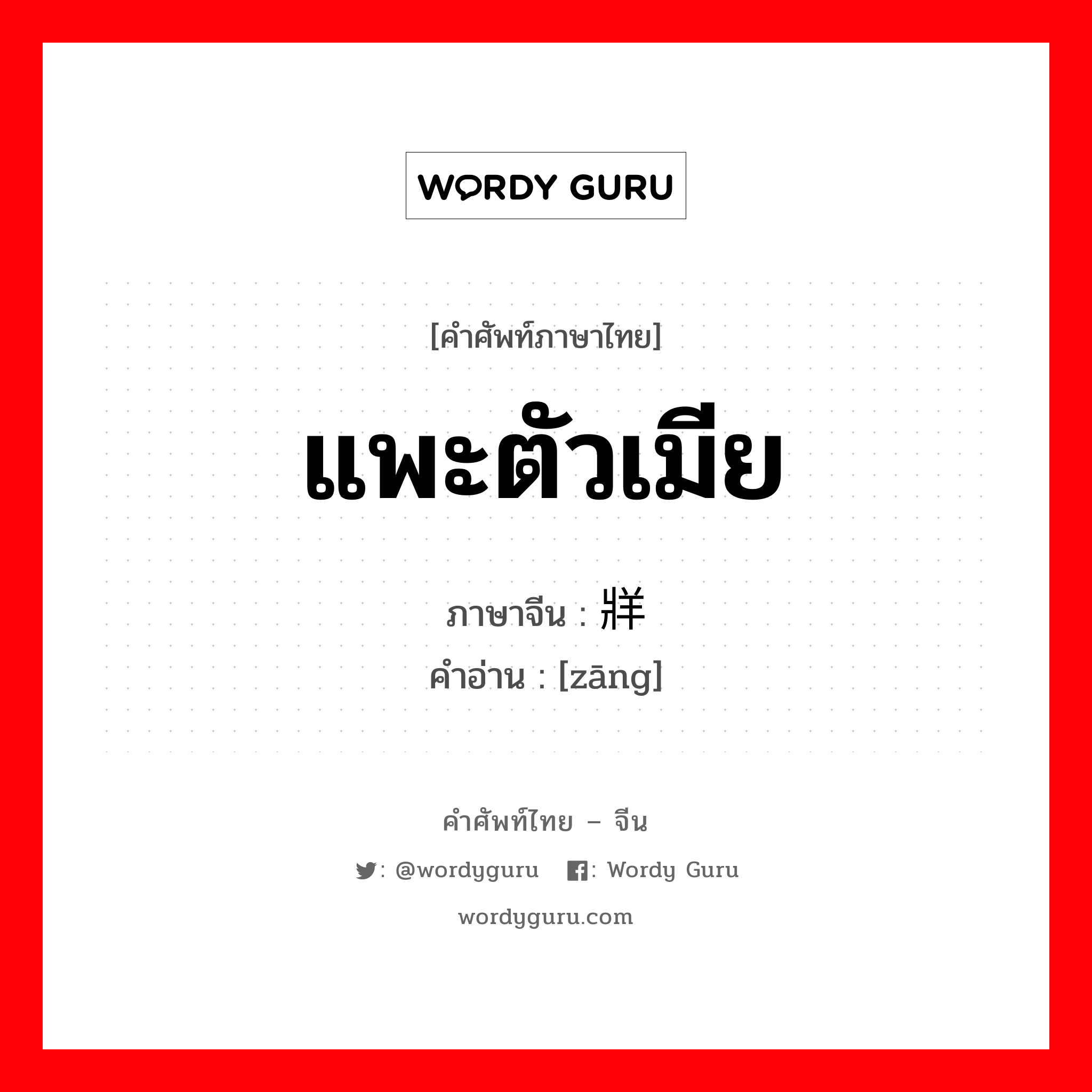 แพะตัวเมีย ภาษาจีนคืออะไร, คำศัพท์ภาษาไทย - จีน แพะตัวเมีย ภาษาจีน 牂 คำอ่าน [zāng]