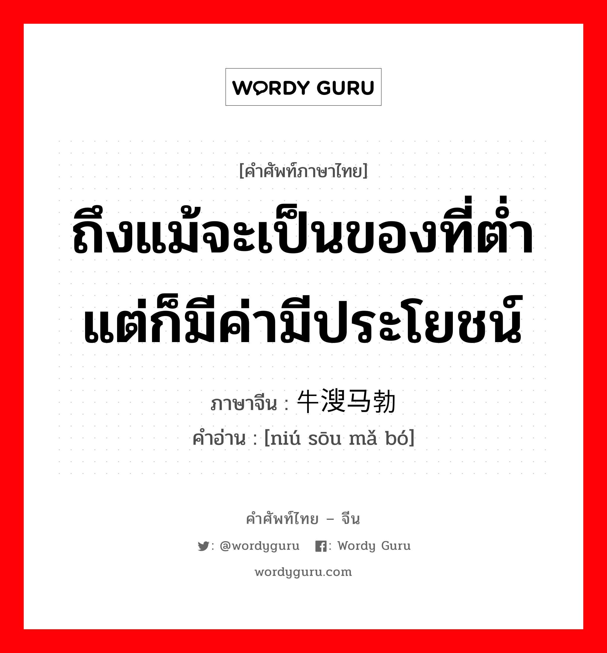 ถึงแม้จะเป็นของที่ต่ำแต่ก็มีค่ามีประโยชน์ ภาษาจีนคืออะไร, คำศัพท์ภาษาไทย - จีน ถึงแม้จะเป็นของที่ต่ำแต่ก็มีค่ามีประโยชน์ ภาษาจีน 牛溲马勃 คำอ่าน [niú sōu mǎ bó]