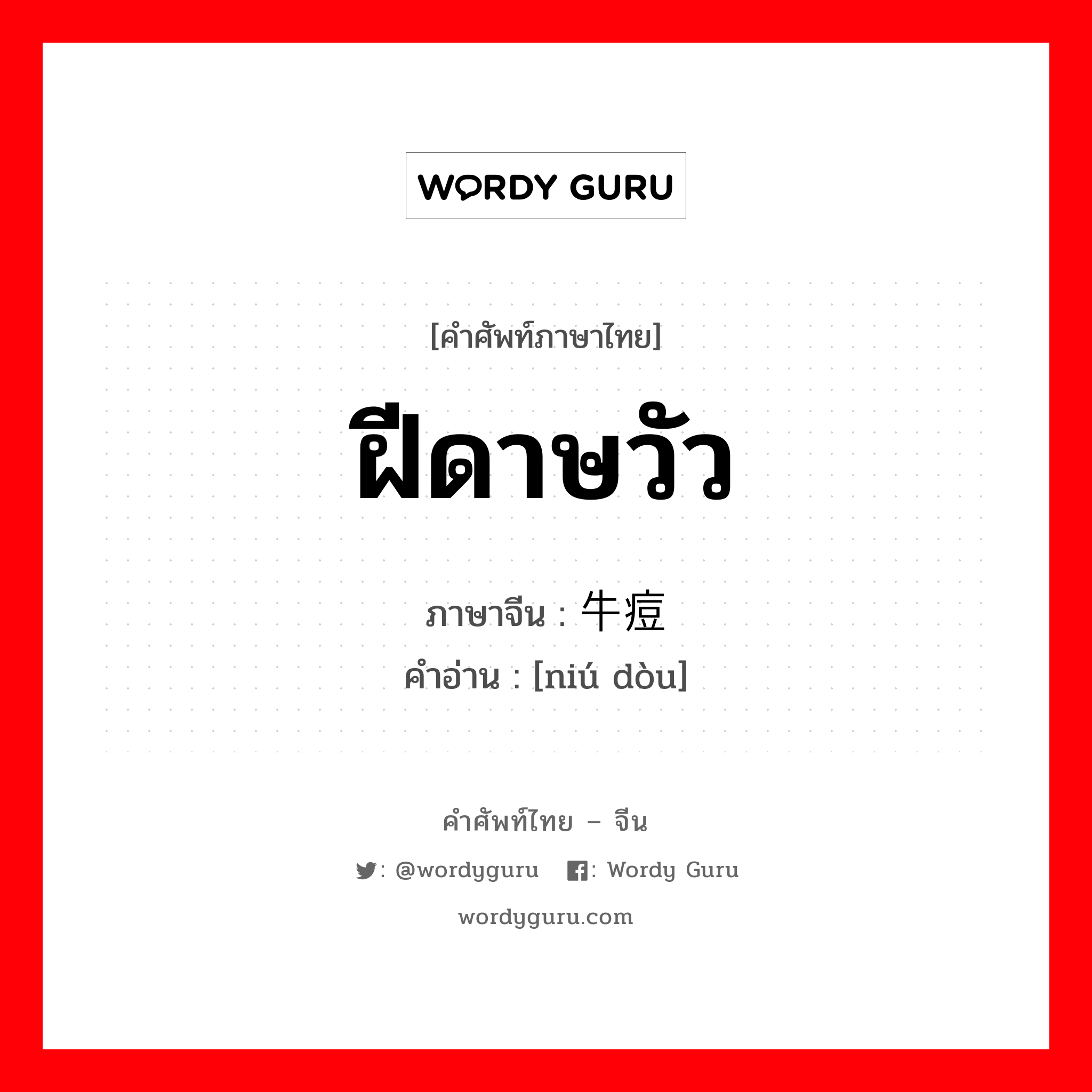 ฝีดาษวัว ภาษาจีนคืออะไร, คำศัพท์ภาษาไทย - จีน ฝีดาษวัว ภาษาจีน 牛痘 คำอ่าน [niú dòu]