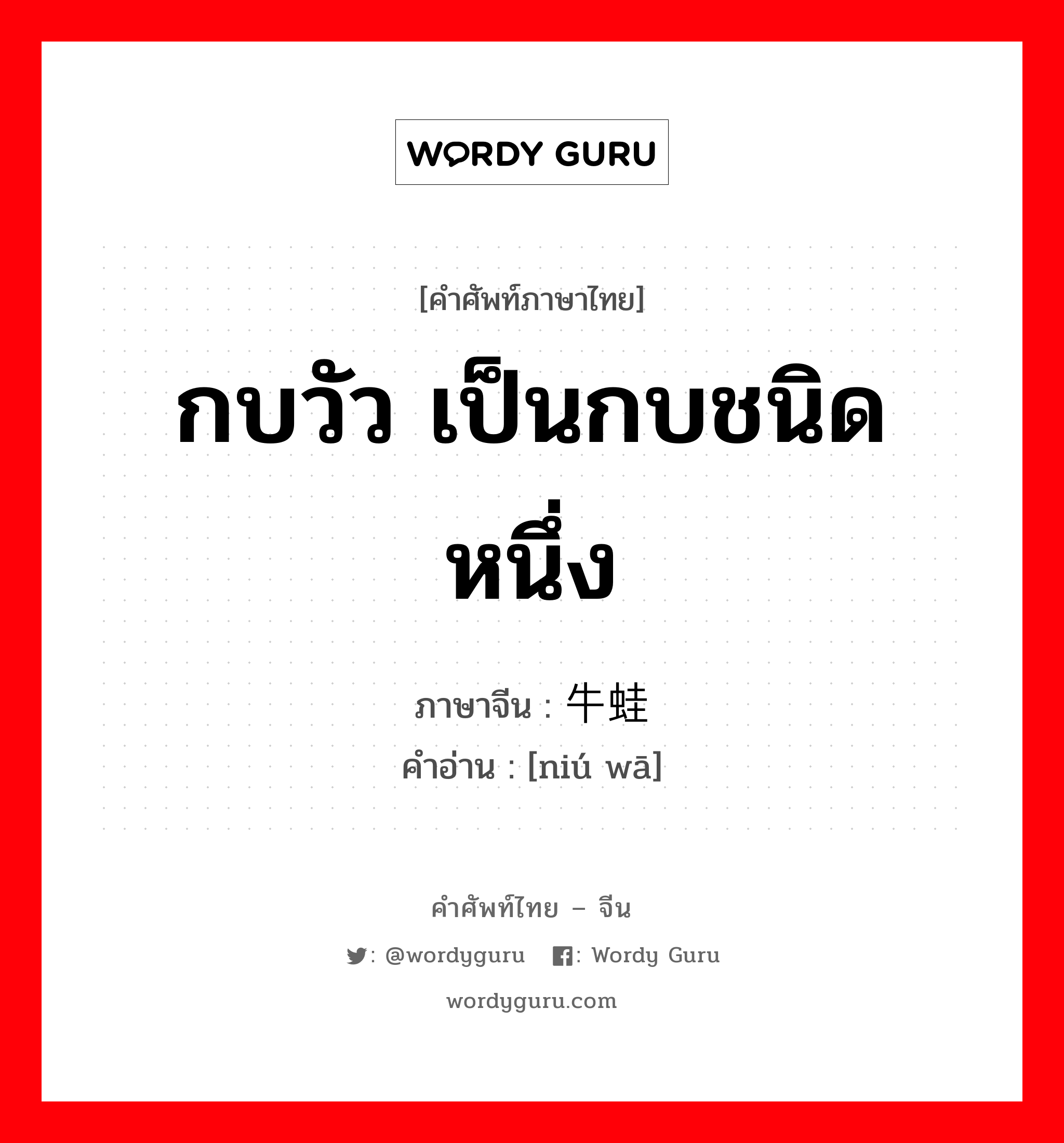 กบวัว เป็นกบชนิดหนึ่ง ภาษาจีนคืออะไร, คำศัพท์ภาษาไทย - จีน กบวัว เป็นกบชนิดหนึ่ง ภาษาจีน 牛蛙 คำอ่าน [niú wā]