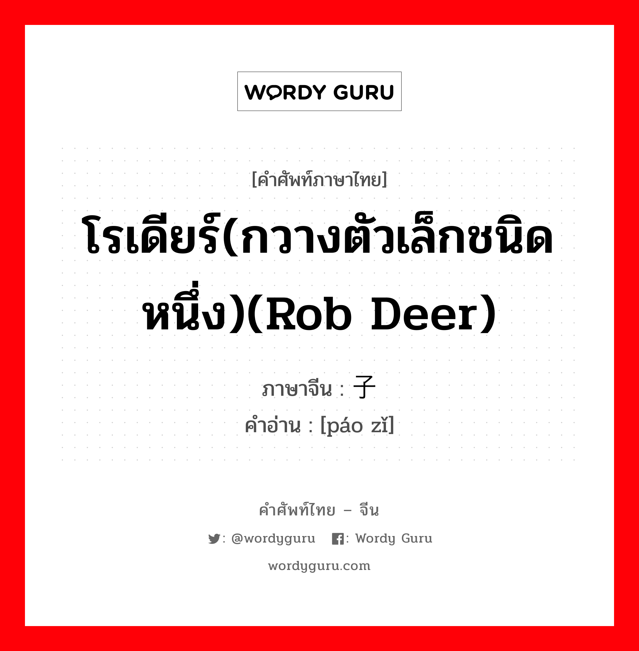 โรเดียร์(กวางตัวเล็กชนิดหนึ่ง)(rob deer) ภาษาจีนคืออะไร, คำศัพท์ภาษาไทย - จีน โรเดียร์(กวางตัวเล็กชนิดหนึ่ง)(rob deer) ภาษาจีน 狍子 คำอ่าน [páo zǐ]