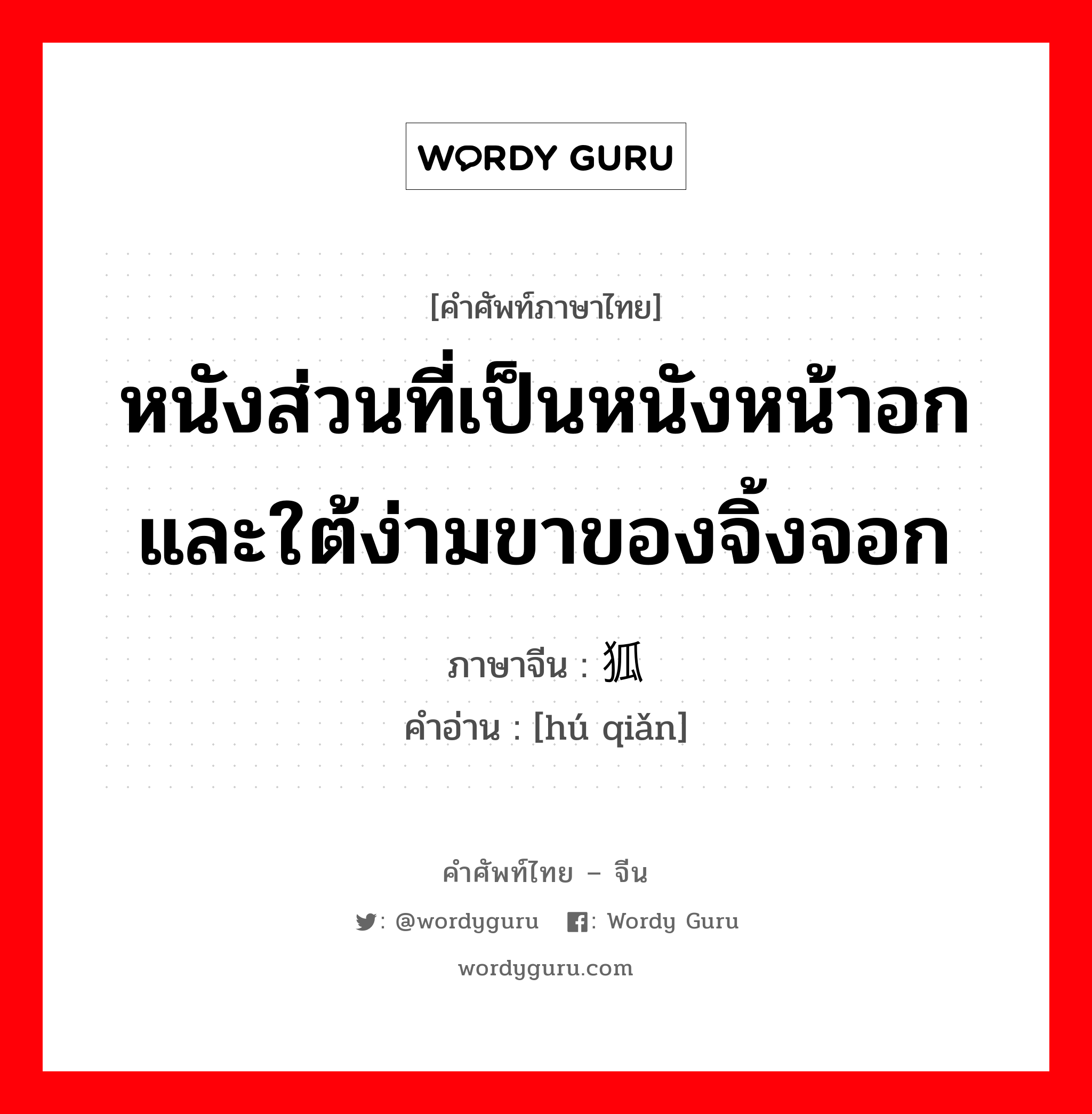 หนังส่วนที่เป็นหนังหน้าอกและใต้ง่ามขาของจิ้งจอก ภาษาจีนคืออะไร, คำศัพท์ภาษาไทย - จีน หนังส่วนที่เป็นหนังหน้าอกและใต้ง่ามขาของจิ้งจอก ภาษาจีน 狐肷 คำอ่าน [hú qiǎn]