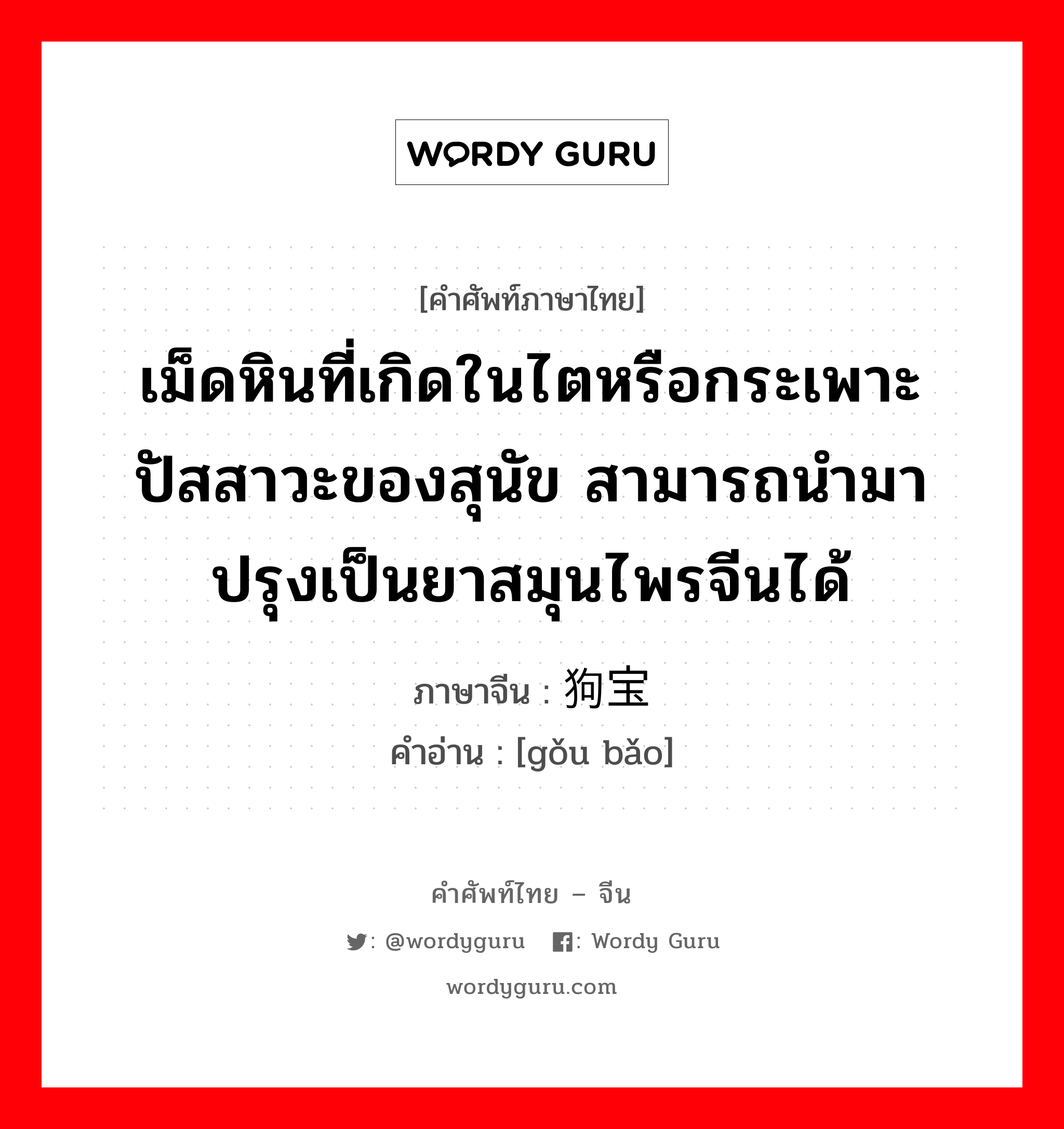 เม็ดหินที่เกิดในไตหรือกระเพาะปัสสาวะของสุนัข สามารถนำมาปรุงเป็นยาสมุนไพรจีนได้ ภาษาจีนคืออะไร, คำศัพท์ภาษาไทย - จีน เม็ดหินที่เกิดในไตหรือกระเพาะปัสสาวะของสุนัข สามารถนำมาปรุงเป็นยาสมุนไพรจีนได้ ภาษาจีน 狗宝 คำอ่าน [gǒu bǎo]