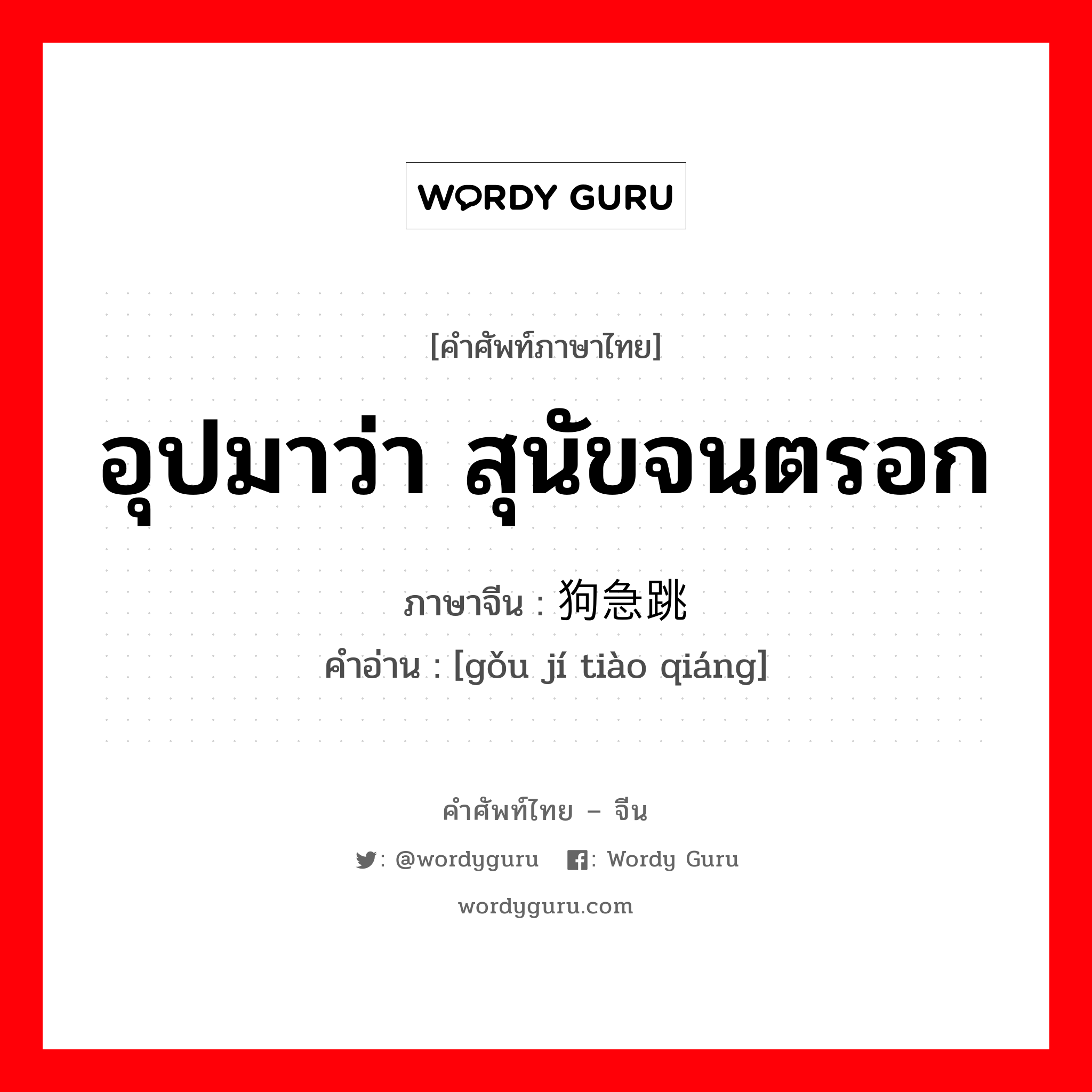 อุปมาว่า สุนัขจนตรอก ภาษาจีนคืออะไร, คำศัพท์ภาษาไทย - จีน อุปมาว่า สุนัขจนตรอก ภาษาจีน 狗急跳墙 คำอ่าน [gǒu jí tiào qiáng]