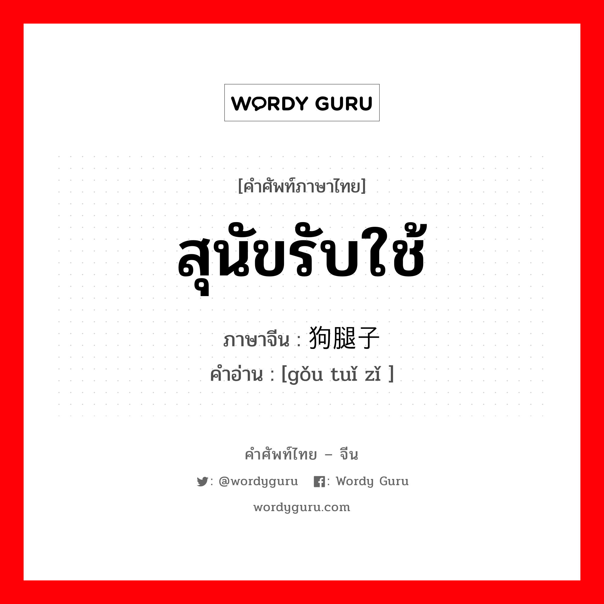 สุนัขรับใช้ ภาษาจีนคืออะไร, คำศัพท์ภาษาไทย - จีน สุนัขรับใช้ ภาษาจีน 狗腿子 คำอ่าน [gǒu tuǐ zǐ ]