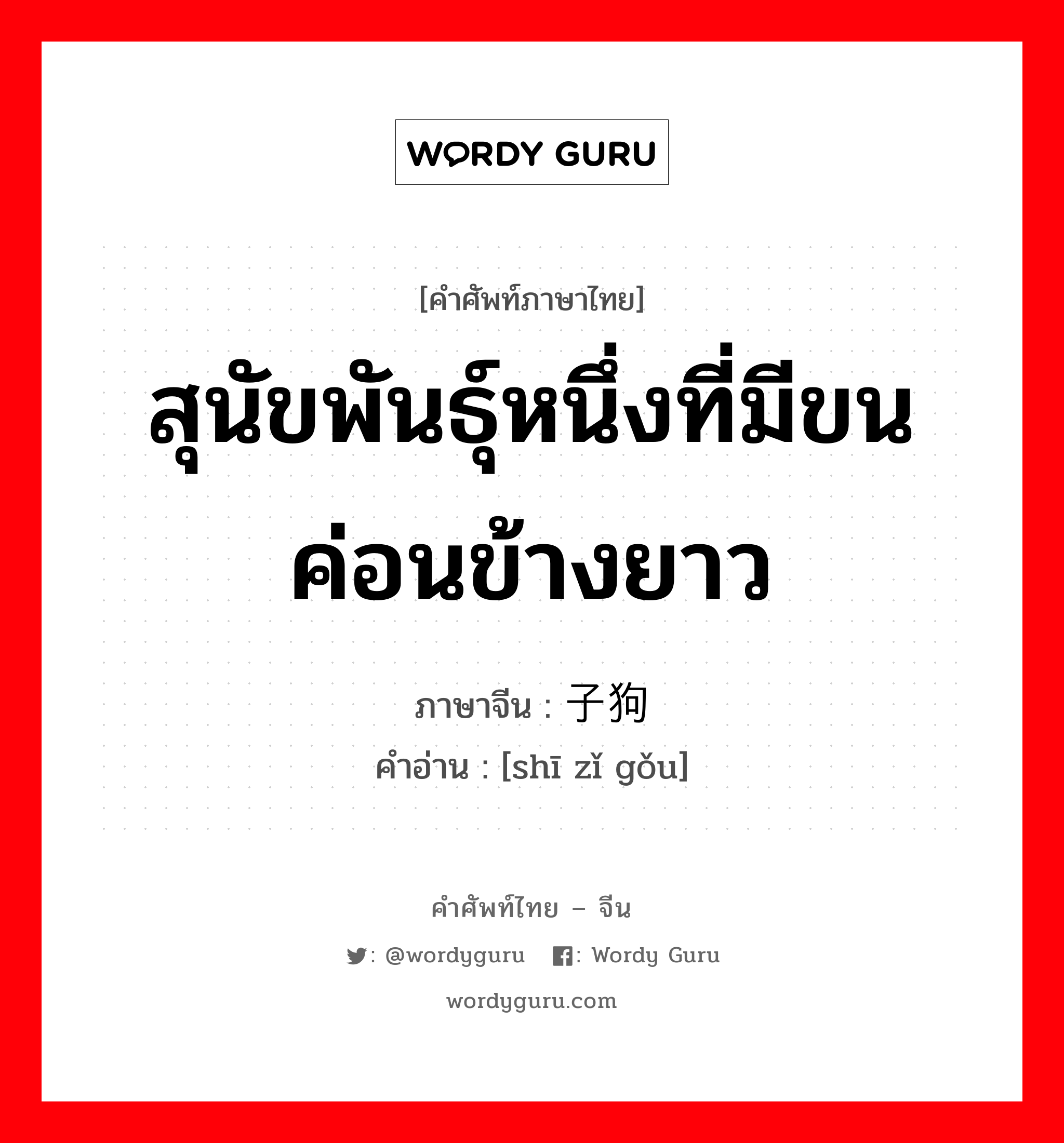 สุนัขพันธุ์หนึ่งที่มีขนค่อนข้างยาว ภาษาจีนคืออะไร, คำศัพท์ภาษาไทย - จีน สุนัขพันธุ์หนึ่งที่มีขนค่อนข้างยาว ภาษาจีน 狮子狗 คำอ่าน [shī zǐ gǒu]