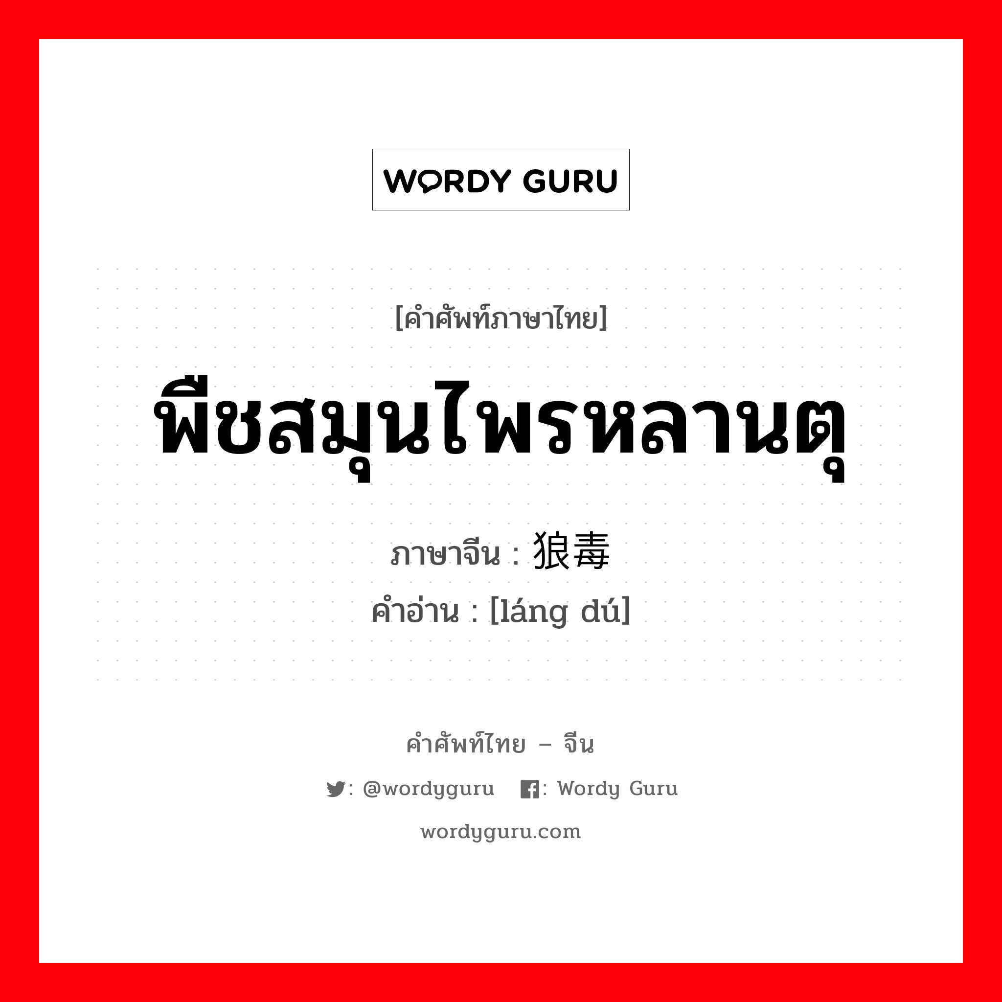 พืชสมุนไพรหลานตุ ภาษาจีนคืออะไร, คำศัพท์ภาษาไทย - จีน พืชสมุนไพรหลานตุ ภาษาจีน 狼毒 คำอ่าน [láng dú]