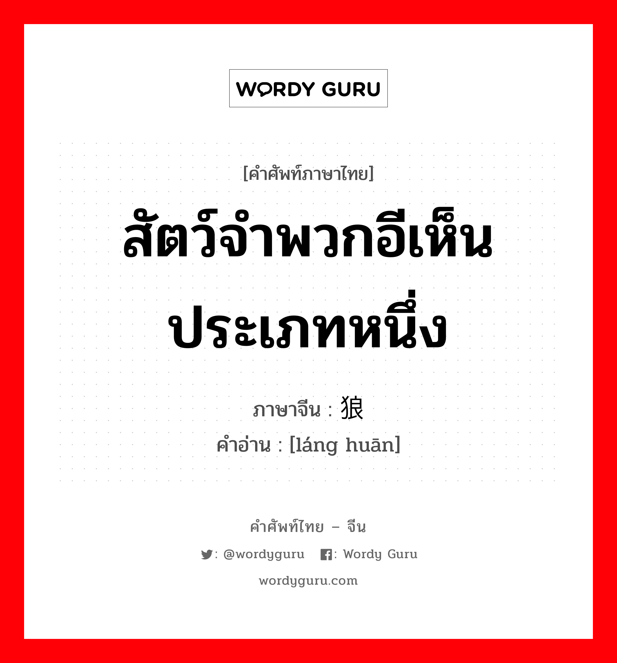 สัตว์จำพวกอีเห็นประเภทหนึ่ง ภาษาจีนคืออะไร, คำศัพท์ภาษาไทย - จีน สัตว์จำพวกอีเห็นประเภทหนึ่ง ภาษาจีน 狼獾 คำอ่าน [láng huān]