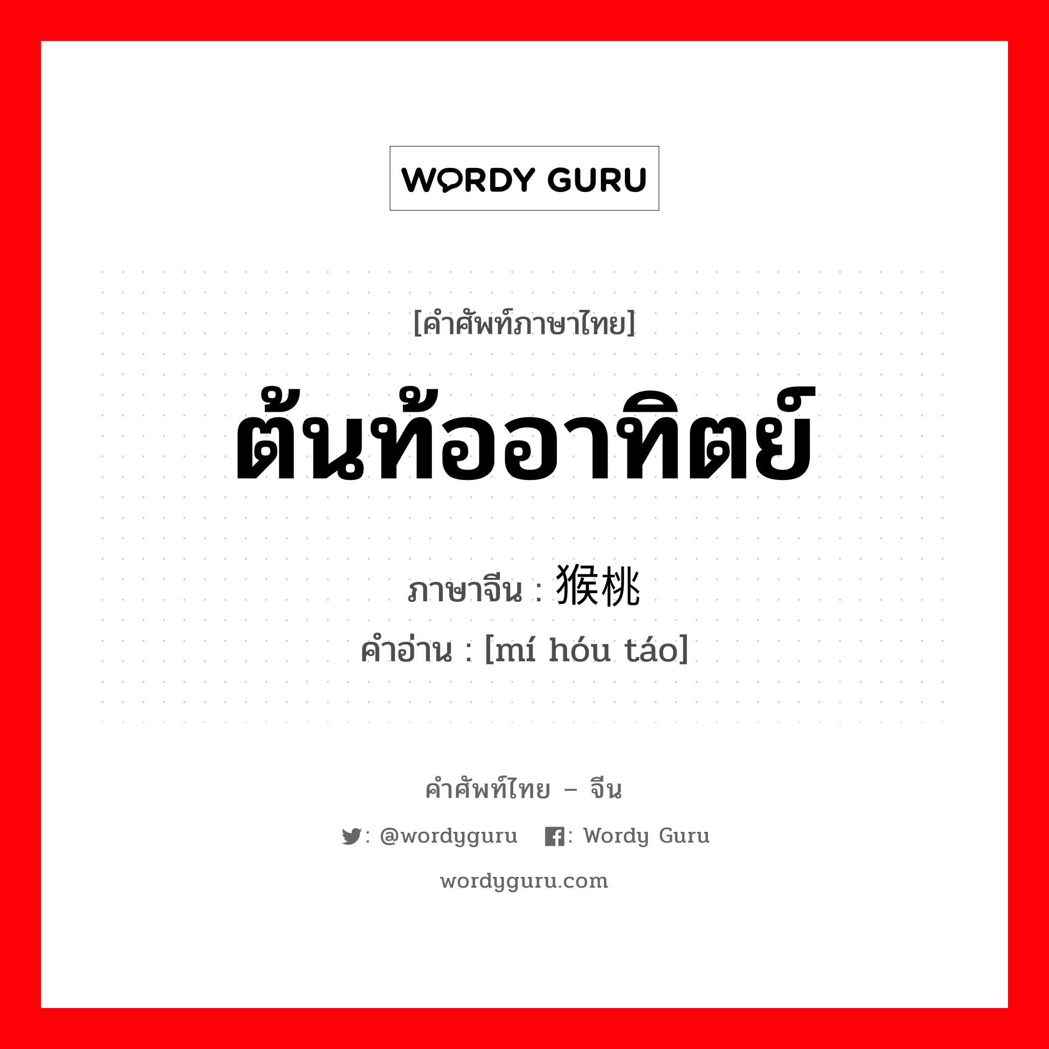 ต้นท้ออาทิตย์ ภาษาจีนคืออะไร, คำศัพท์ภาษาไทย - จีน ต้นท้ออาทิตย์ ภาษาจีน 猕猴桃 คำอ่าน [mí hóu táo]