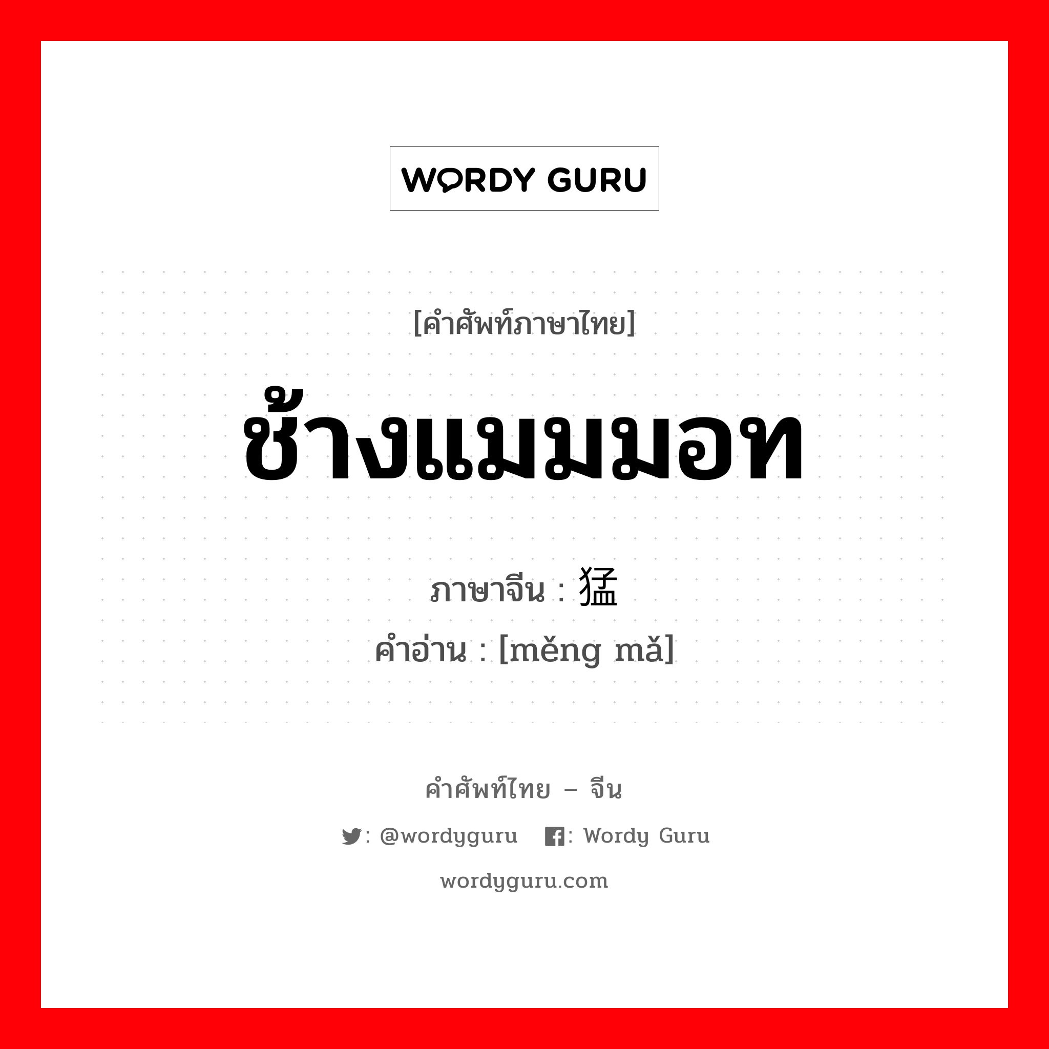 ช้างแมมมอท ภาษาจีนคืออะไร, คำศัพท์ภาษาไทย - จีน ช้างแมมมอท ภาษาจีน 猛犸 คำอ่าน [měng mǎ]