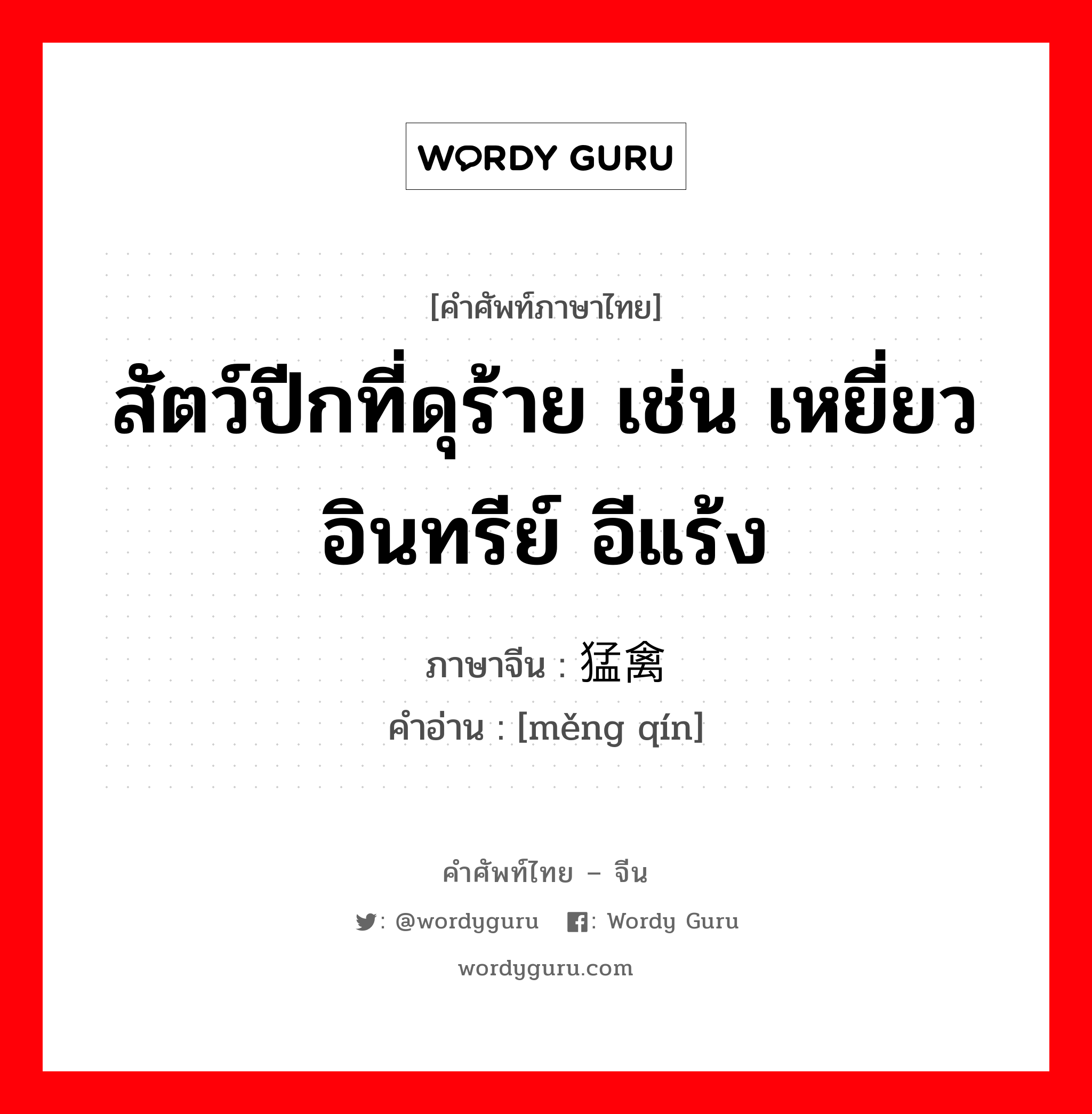 สัตว์ปีกที่ดุร้าย เช่น เหยี่ยวอินทรีย์ อีแร้ง ภาษาจีนคืออะไร, คำศัพท์ภาษาไทย - จีน สัตว์ปีกที่ดุร้าย เช่น เหยี่ยวอินทรีย์ อีแร้ง ภาษาจีน 猛禽 คำอ่าน [měng qín]