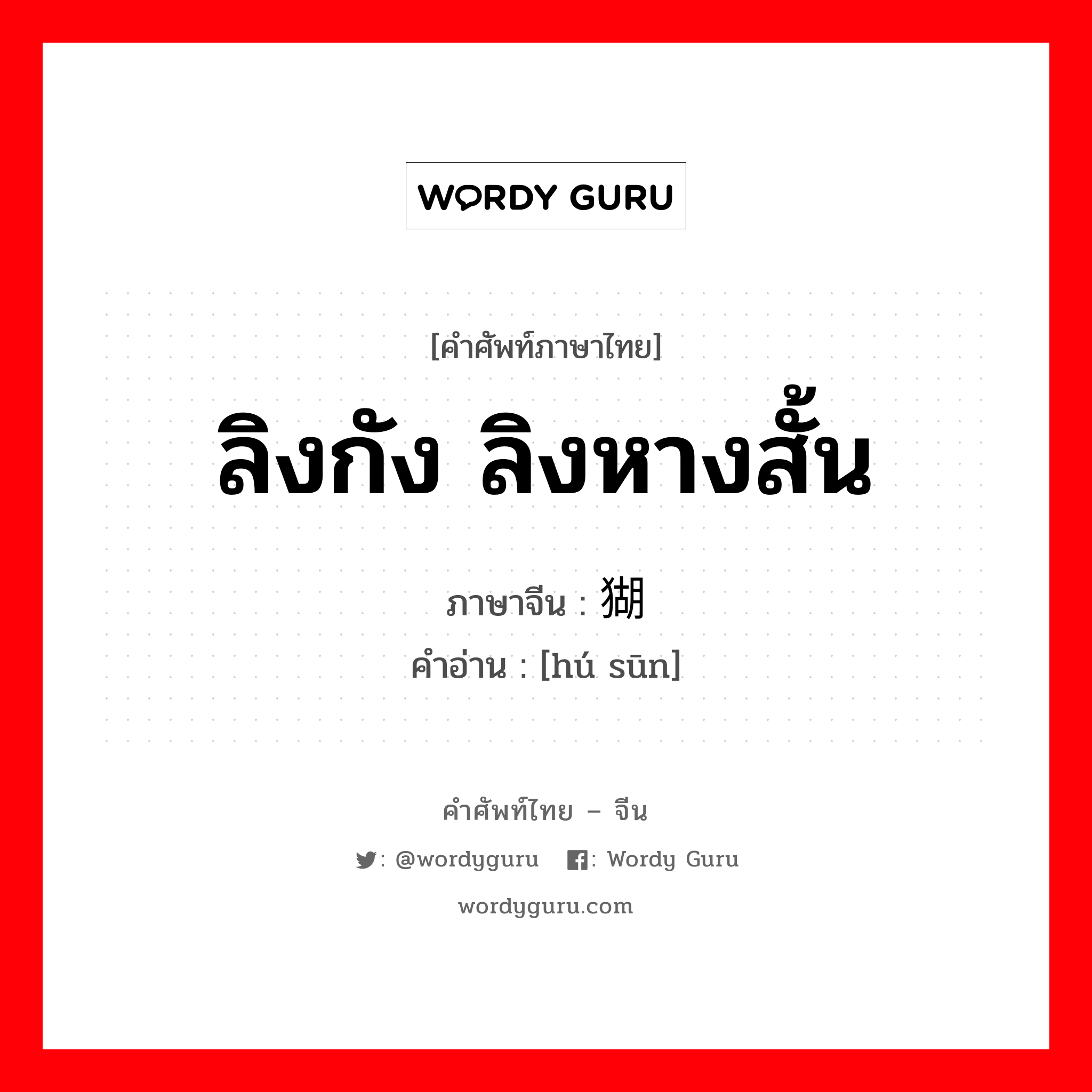 ลิงกัง ลิงหางสั้น ภาษาจีนคืออะไร, คำศัพท์ภาษาไทย - จีน ลิงกัง ลิงหางสั้น ภาษาจีน 猢狲 คำอ่าน [hú sūn]