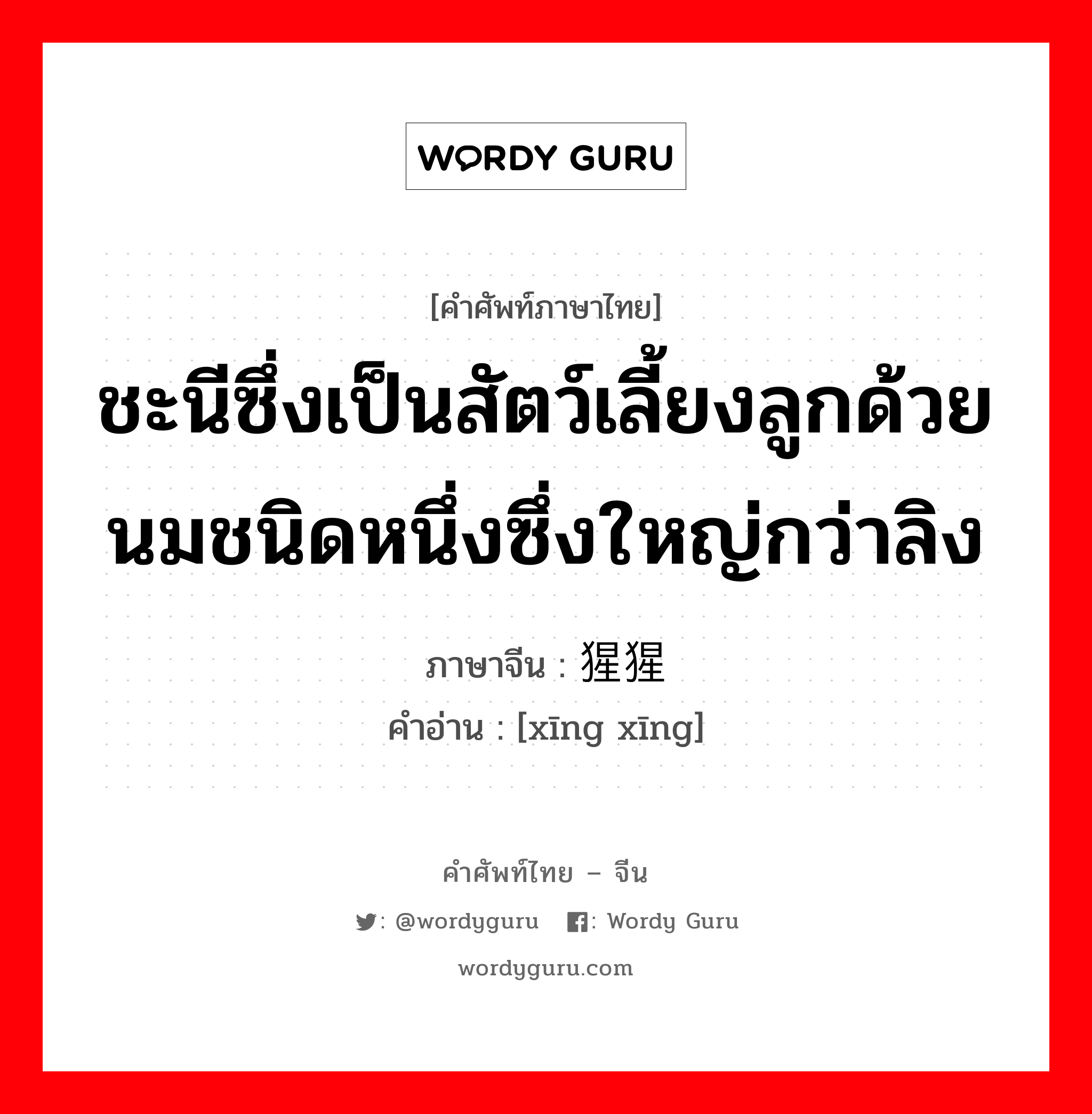 ชะนีซึ่งเป็นสัตว์เลี้ยงลูกด้วยนมชนิดหนึ่งซึ่งใหญ่กว่าลิง ภาษาจีนคืออะไร, คำศัพท์ภาษาไทย - จีน ชะนีซึ่งเป็นสัตว์เลี้ยงลูกด้วยนมชนิดหนึ่งซึ่งใหญ่กว่าลิง ภาษาจีน 猩猩 คำอ่าน [xīng xīng]