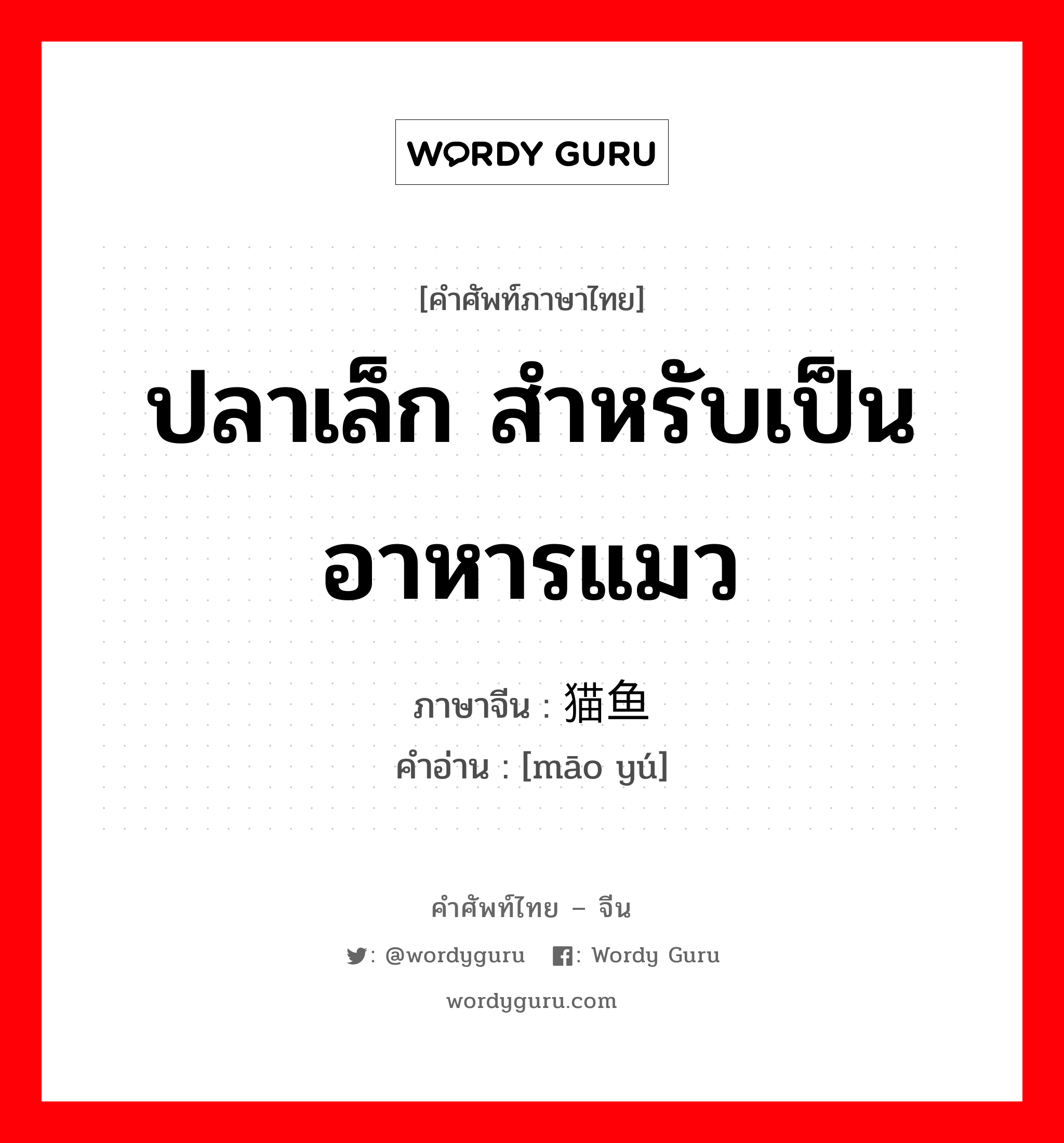 ปลาเล็ก สำหรับเป็นอาหารแมว ภาษาจีนคืออะไร, คำศัพท์ภาษาไทย - จีน ปลาเล็ก สำหรับเป็นอาหารแมว ภาษาจีน 猫鱼 คำอ่าน [māo yú]