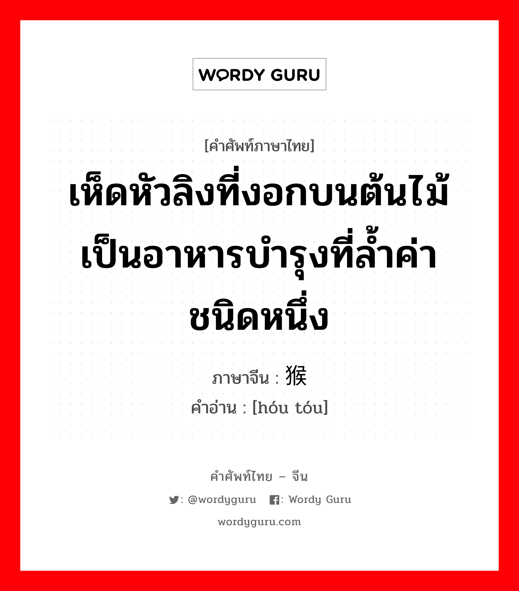 เห็ดหัวลิงที่งอกบนต้นไม้ เป็นอาหารบำรุงที่ล้ำค่าชนิดหนึ่ง ภาษาจีนคืออะไร, คำศัพท์ภาษาไทย - จีน เห็ดหัวลิงที่งอกบนต้นไม้ เป็นอาหารบำรุงที่ล้ำค่าชนิดหนึ่ง ภาษาจีน 猴头 คำอ่าน [hóu tóu]