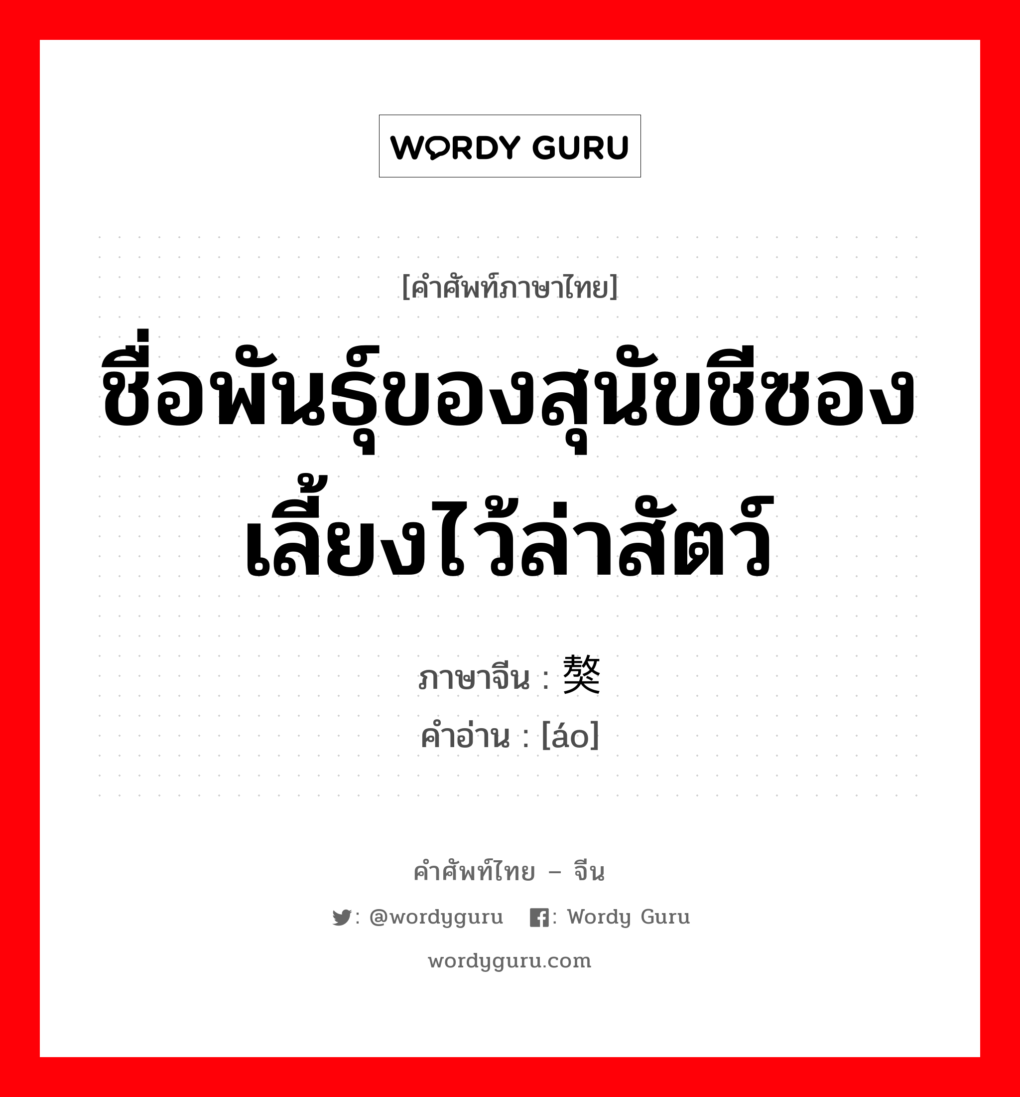 ชื่อพันธุ์ของสุนัขชีซอง เลี้ยงไว้ล่าสัตว์ ภาษาจีนคืออะไร, คำศัพท์ภาษาไทย - จีน ชื่อพันธุ์ของสุนัขชีซอง เลี้ยงไว้ล่าสัตว์ ภาษาจีน 獒 คำอ่าน [áo]