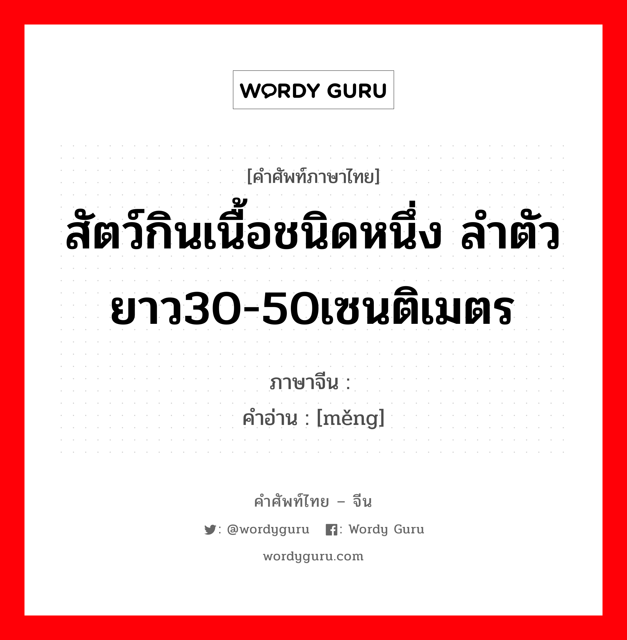 สัตว์กินเนื้อชนิดหนึ่ง ลำตัวยาว30-50เซนติเมตร ภาษาจีนคืออะไร, คำศัพท์ภาษาไทย - จีน สัตว์กินเนื้อชนิดหนึ่ง ลำตัวยาว30-50เซนติเมตร ภาษาจีน 獴 คำอ่าน [měng]