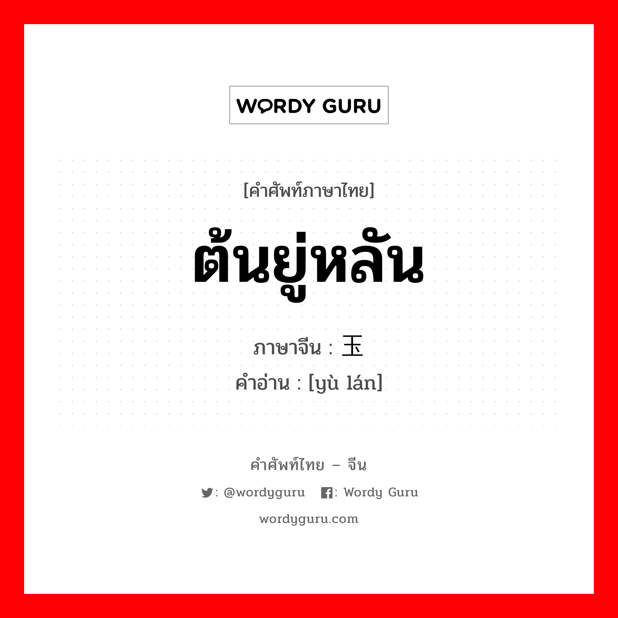 ต้นยู่หลัน ภาษาจีนคืออะไร, คำศัพท์ภาษาไทย - จีน ต้นยู่หลัน ภาษาจีน 玉兰 คำอ่าน [yù lán]