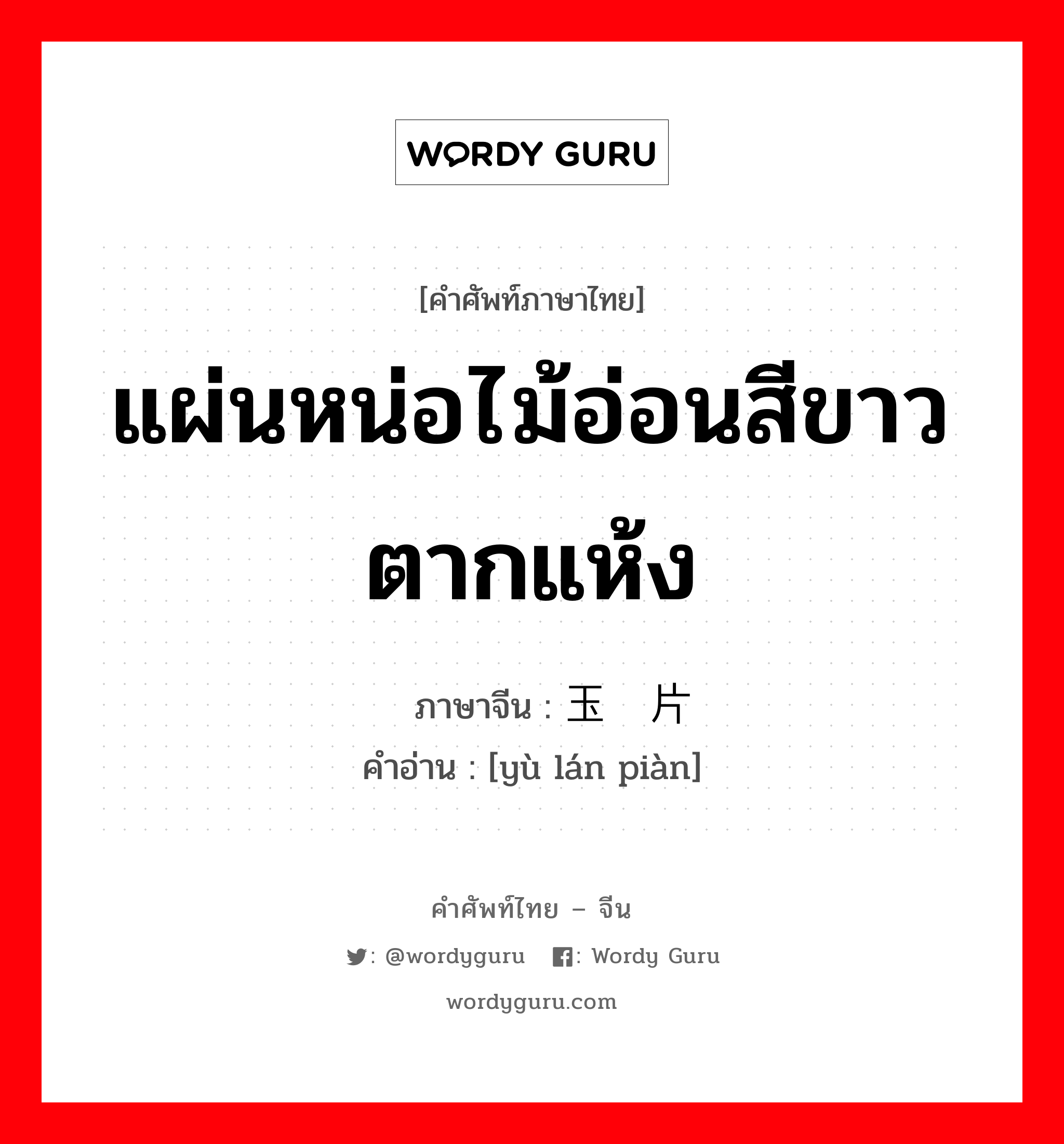 แผ่นหน่อไม้อ่อนสีขาวตากแห้ง ภาษาจีนคืออะไร, คำศัพท์ภาษาไทย - จีน แผ่นหน่อไม้อ่อนสีขาวตากแห้ง ภาษาจีน 玉兰片 คำอ่าน [yù lán piàn]