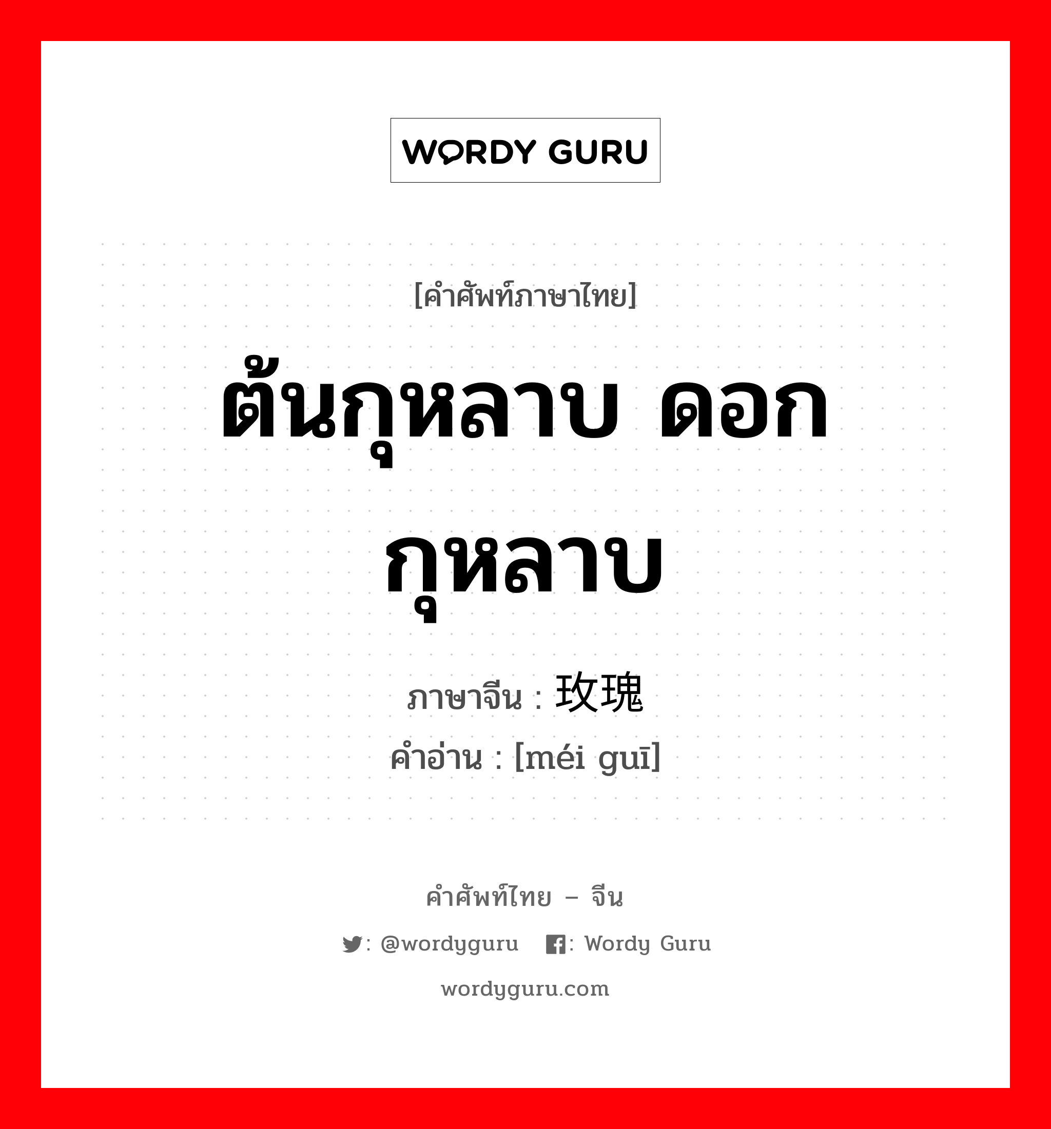 ต้นกุหลาบ ดอกกุหลาบ ภาษาจีนคืออะไร, คำศัพท์ภาษาไทย - จีน ต้นกุหลาบ ดอกกุหลาบ ภาษาจีน 玫瑰 คำอ่าน [méi guī]