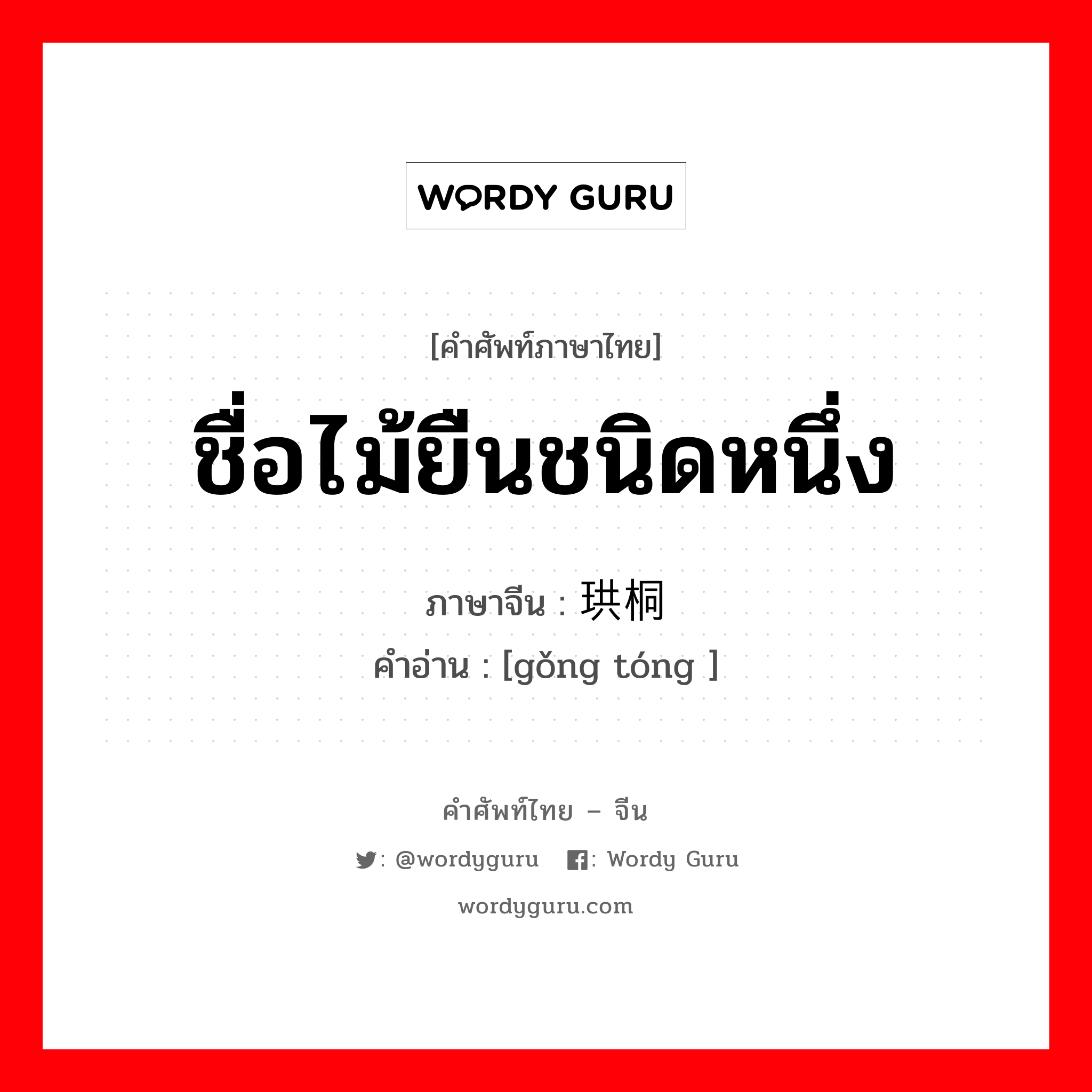 ชื่อไม้ยืนชนิดหนึ่ง ภาษาจีนคืออะไร, คำศัพท์ภาษาไทย - จีน ชื่อไม้ยืนชนิดหนึ่ง ภาษาจีน 珙桐 คำอ่าน [gǒng tóng ]