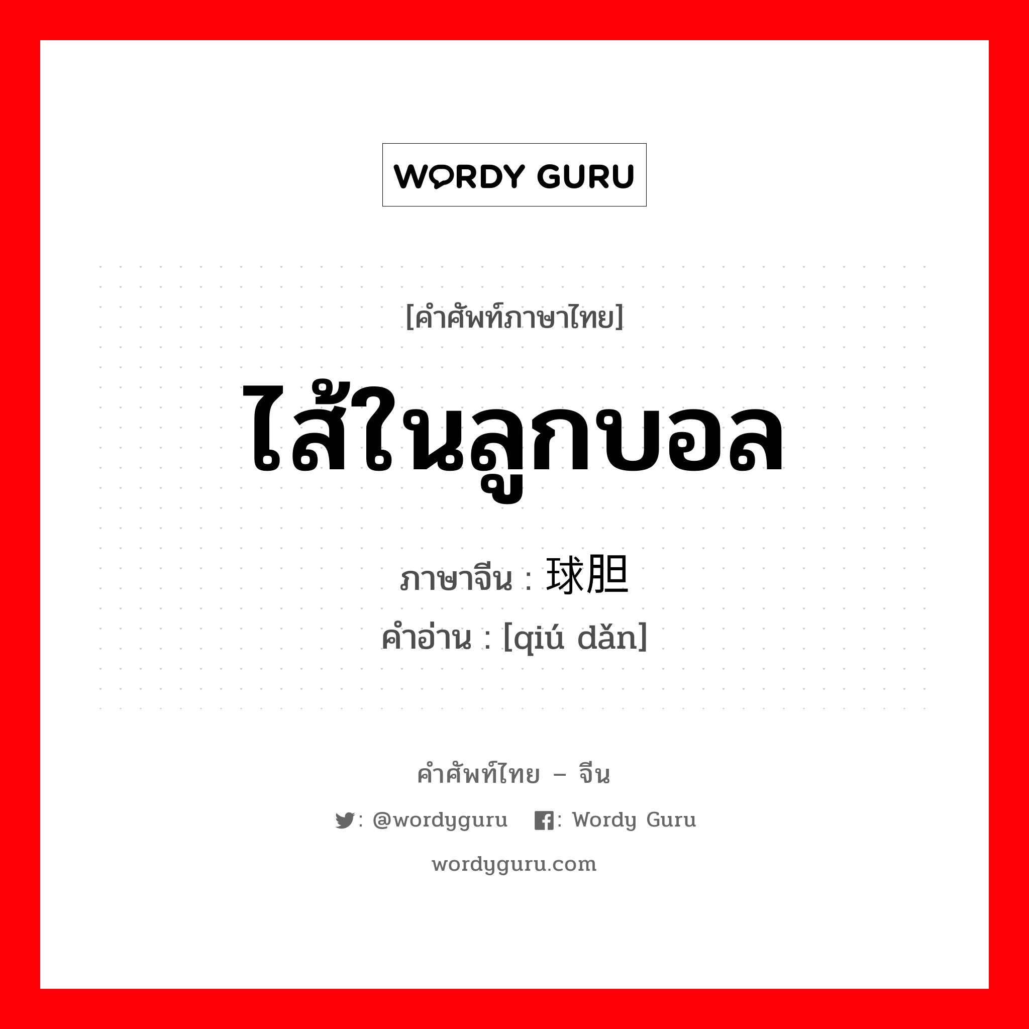 ไส้ในลูกบอล ภาษาจีนคืออะไร, คำศัพท์ภาษาไทย - จีน ไส้ในลูกบอล ภาษาจีน 球胆 คำอ่าน [qiú dǎn]