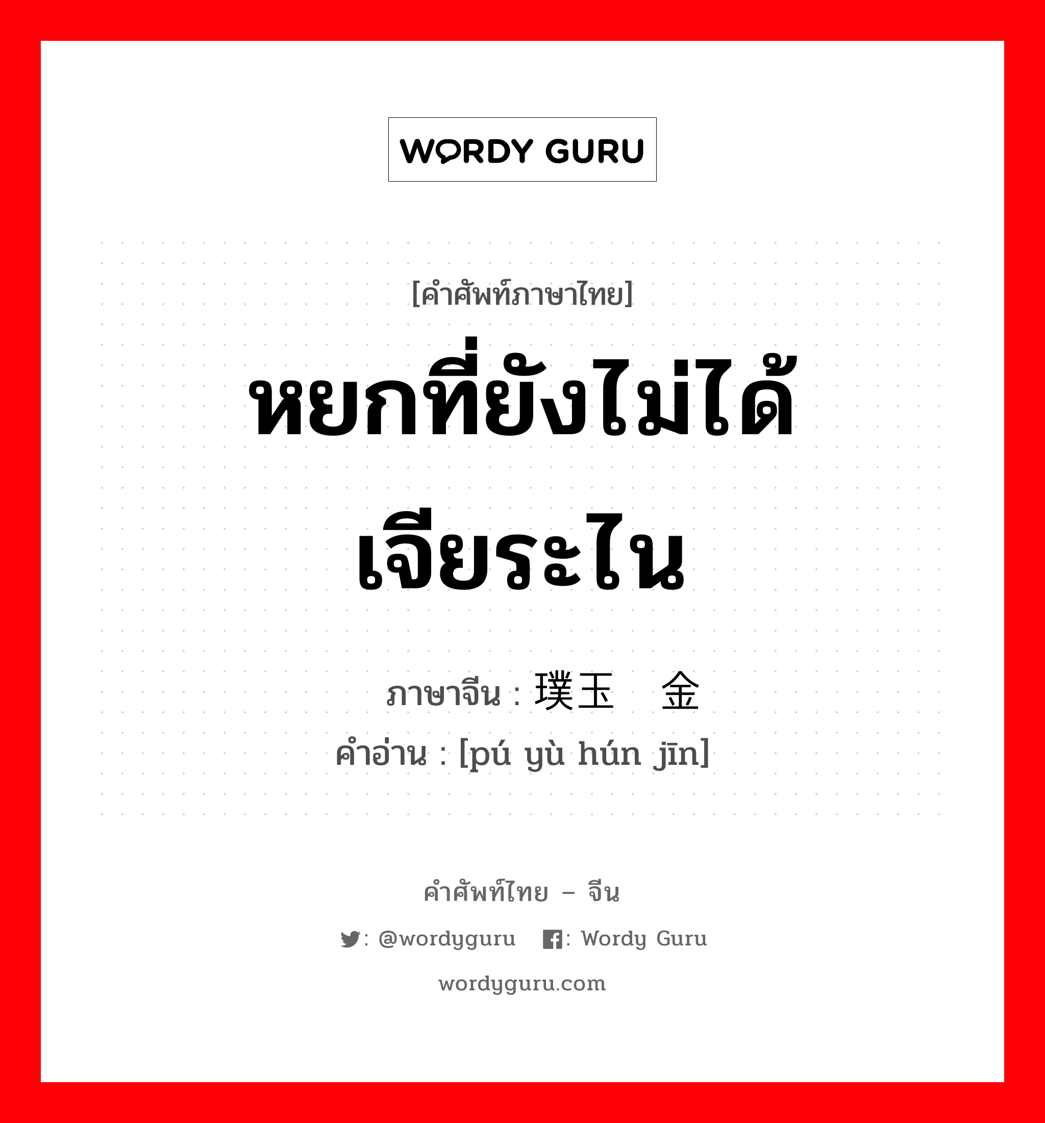 หยกที่ยังไม่ได้เจียระไน ภาษาจีนคืออะไร, คำศัพท์ภาษาไทย - จีน หยกที่ยังไม่ได้เจียระไน ภาษาจีน 璞玉浑金 คำอ่าน [pú yù hún jīn]