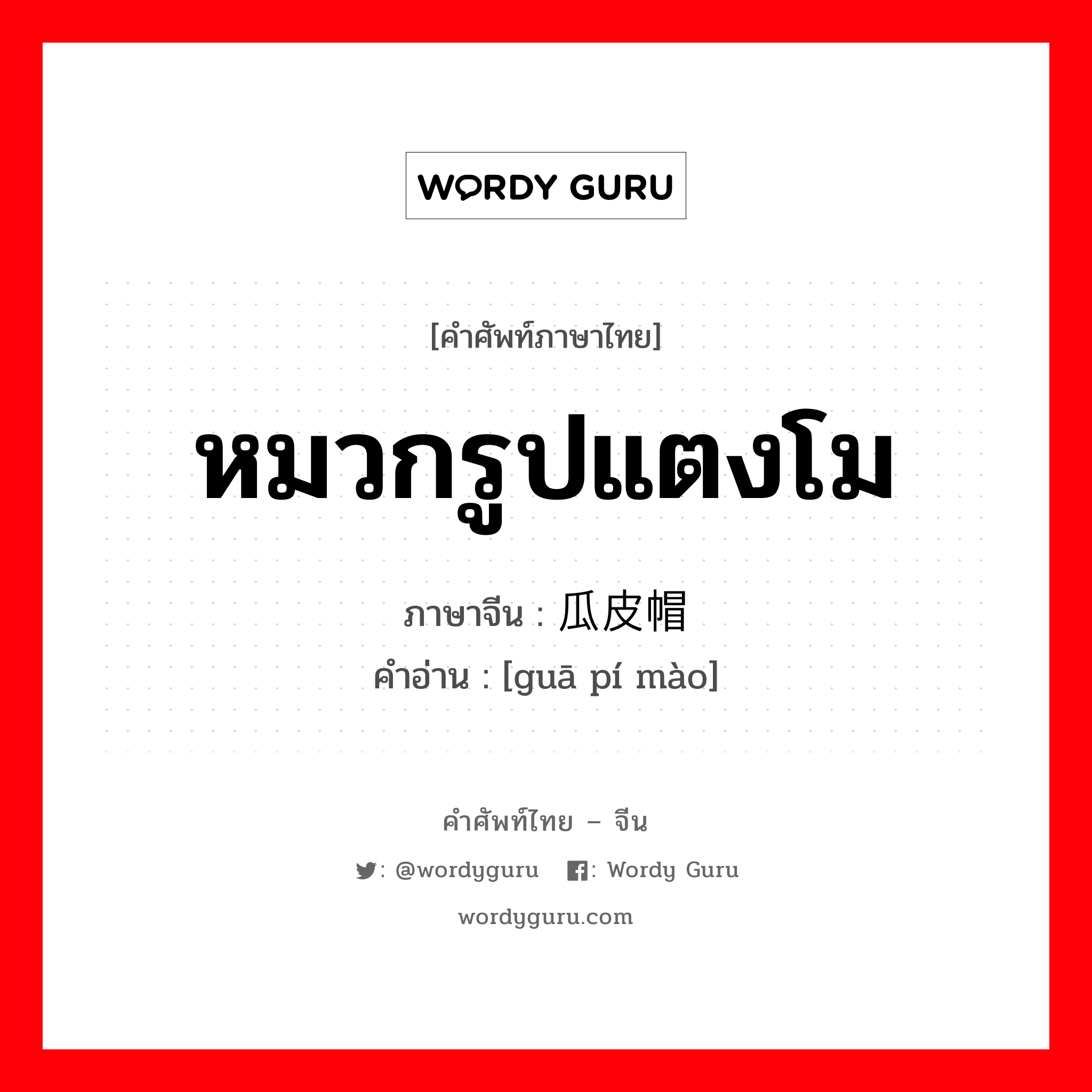 หมวกรูปแตงโม ภาษาจีนคืออะไร, คำศัพท์ภาษาไทย - จีน หมวกรูปแตงโม ภาษาจีน 瓜皮帽 คำอ่าน [guā pí mào]