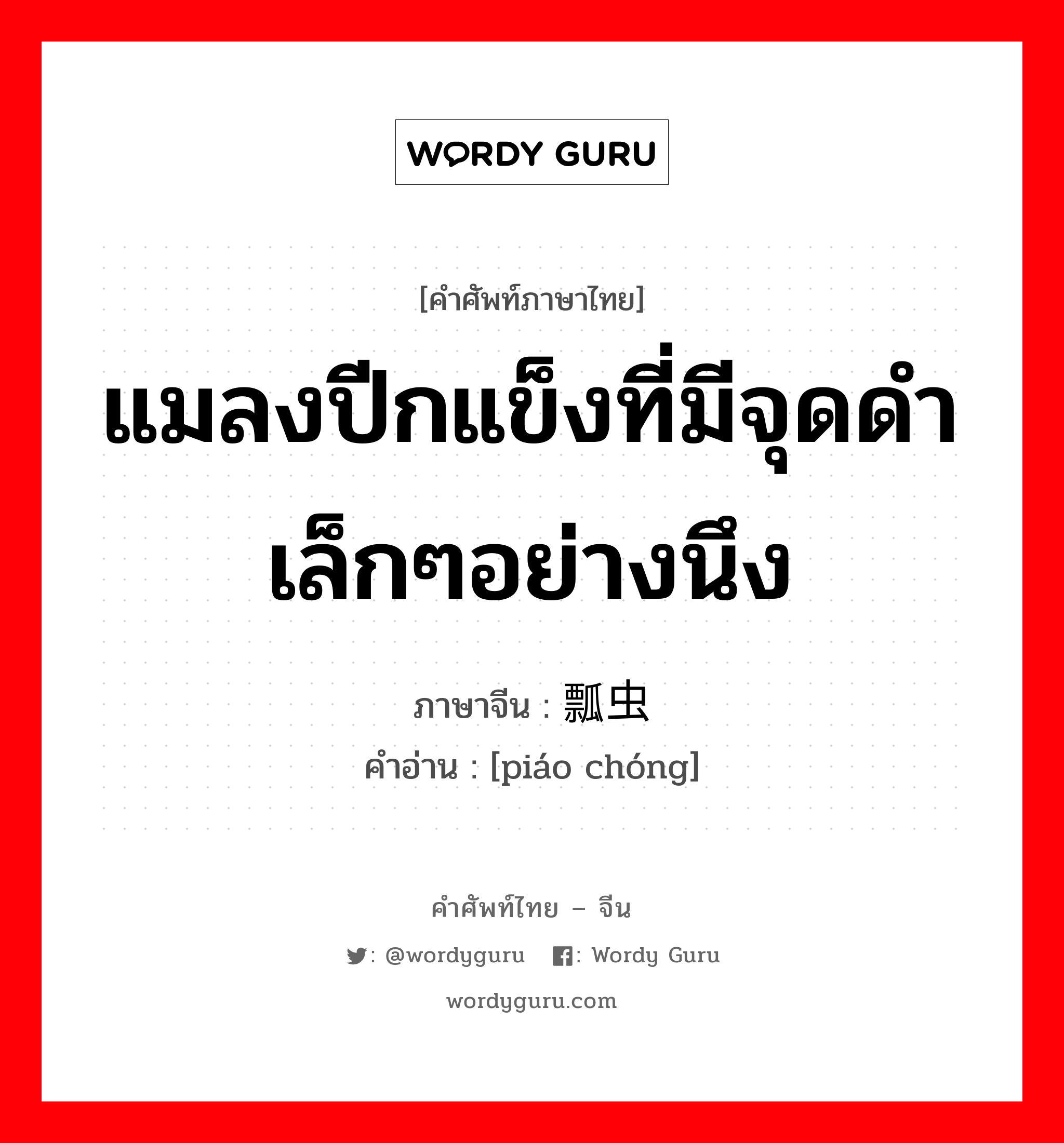 แมลงปีกแข็งที่มีจุดดำเล็กๆอย่างนึง ภาษาจีนคืออะไร, คำศัพท์ภาษาไทย - จีน แมลงปีกแข็งที่มีจุดดำเล็กๆอย่างนึง ภาษาจีน 瓢虫 คำอ่าน [piáo chóng]