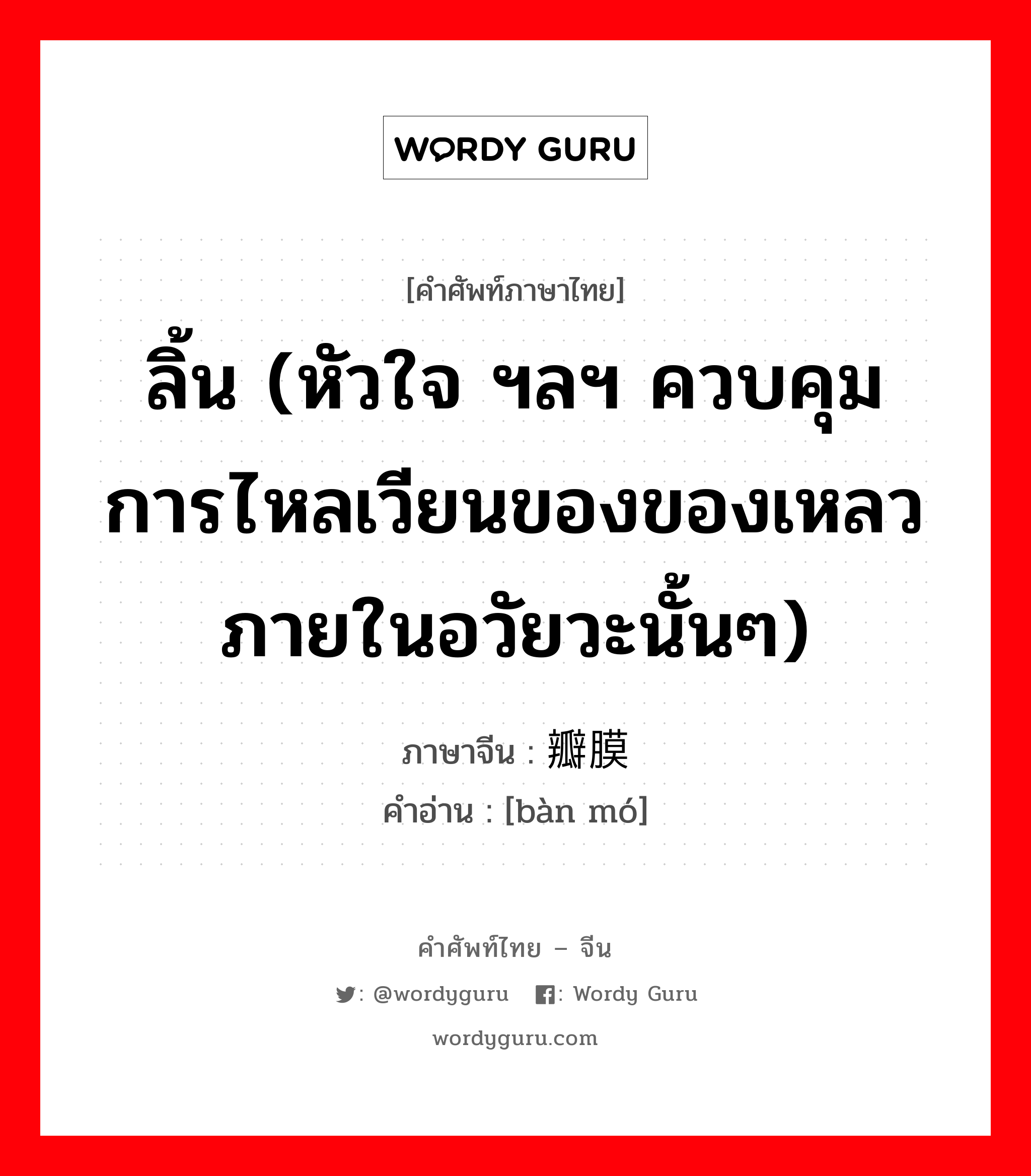 ลิ้น (หัวใจ ฯลฯ ควบคุมการไหลเวียนของของเหลวภายในอวัยวะนั้นๆ) ภาษาจีนคืออะไร, คำศัพท์ภาษาไทย - จีน ลิ้น (หัวใจ ฯลฯ ควบคุมการไหลเวียนของของเหลวภายในอวัยวะนั้นๆ) ภาษาจีน 瓣膜 คำอ่าน [bàn mó]