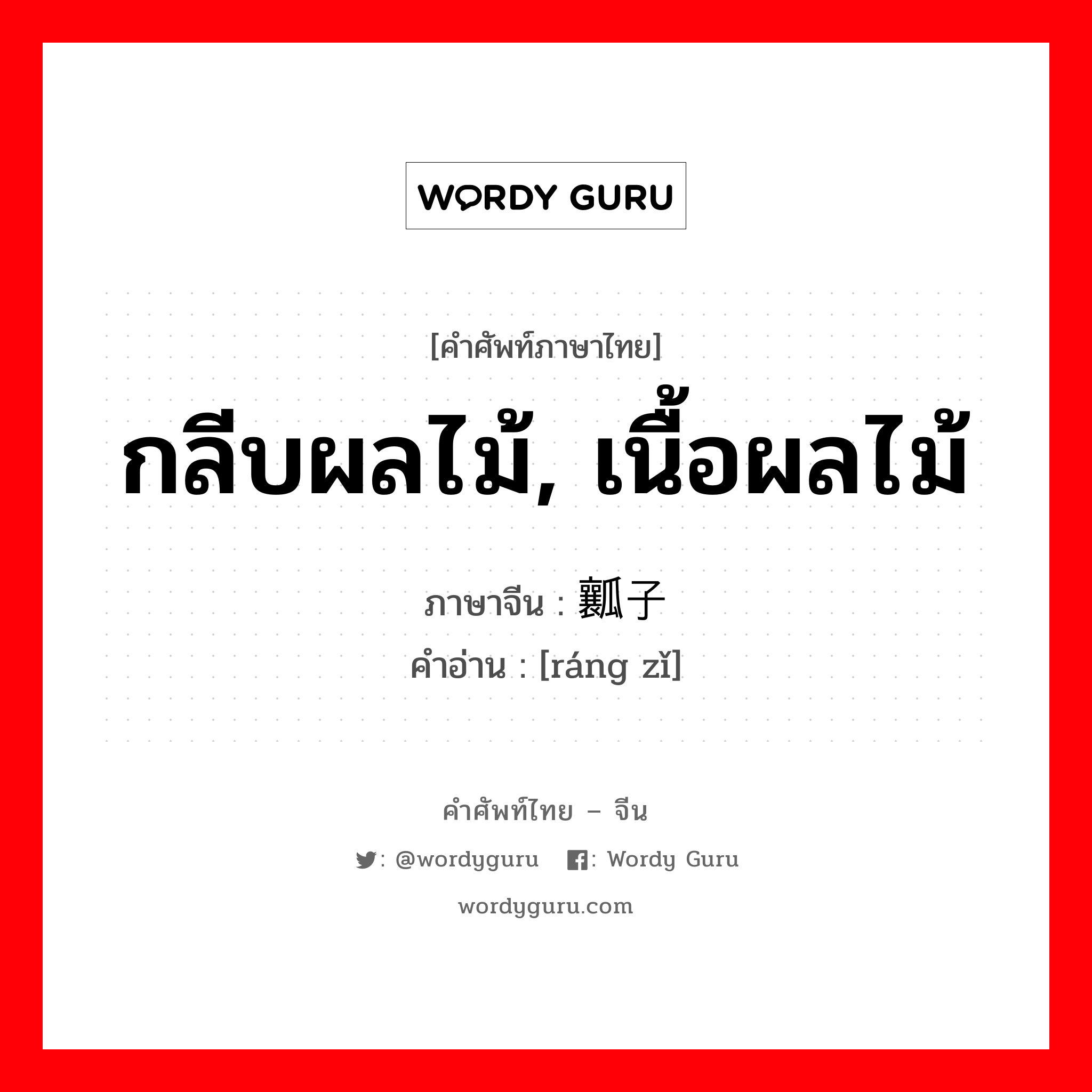 กลีบผลไม้, เนื้อผลไม้ ภาษาจีนคืออะไร, คำศัพท์ภาษาไทย - จีน กลีบผลไม้, เนื้อผลไม้ ภาษาจีน 瓤子 คำอ่าน [ráng zǐ]