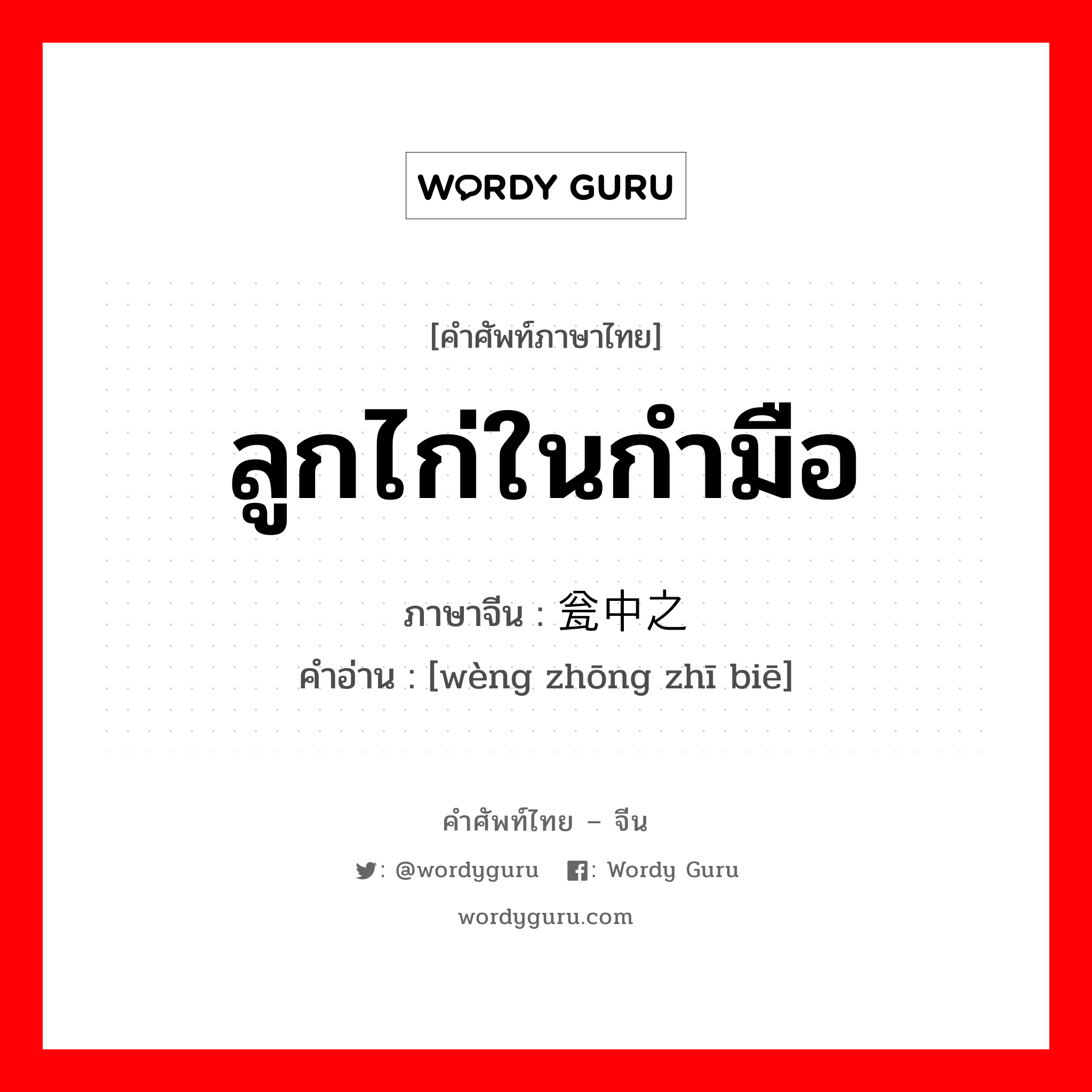 ลูกไก่ในกำมือ ภาษาจีนคืออะไร, คำศัพท์ภาษาไทย - จีน ลูกไก่ในกำมือ ภาษาจีน 瓮中之鳖 คำอ่าน [wèng zhōng zhī biē]