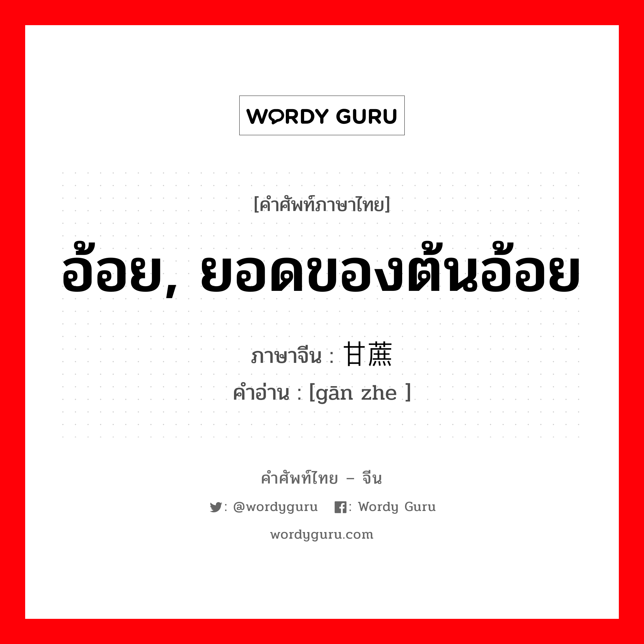 อ้อย, ยอดของต้นอ้อย ภาษาจีนคืออะไร, คำศัพท์ภาษาไทย - จีน อ้อย, ยอดของต้นอ้อย ภาษาจีน 甘蔗 คำอ่าน [gān zhe ]