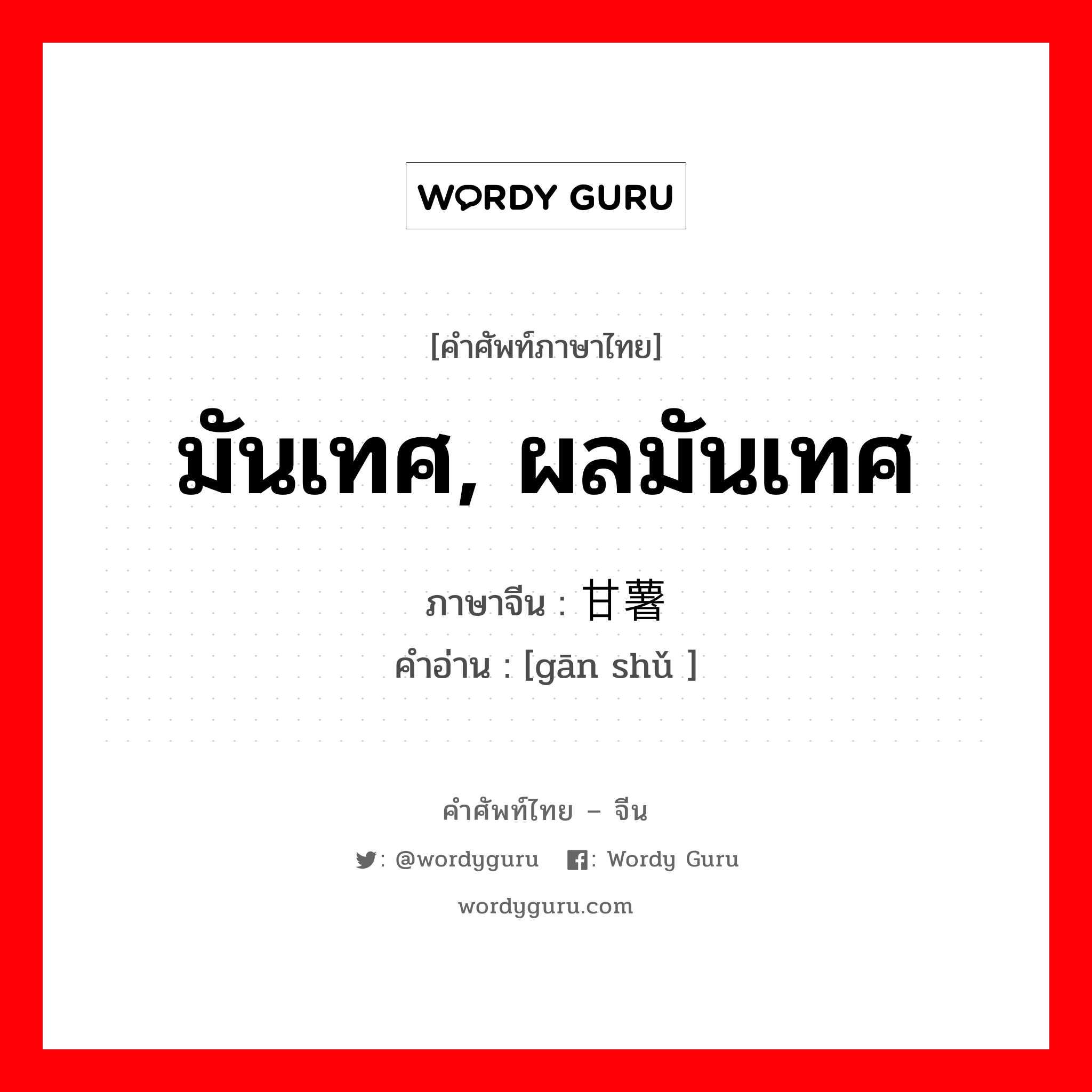 มันเทศ, ผลมันเทศ ภาษาจีนคืออะไร, คำศัพท์ภาษาไทย - จีน มันเทศ, ผลมันเทศ ภาษาจีน 甘薯 คำอ่าน [gān shǔ ]