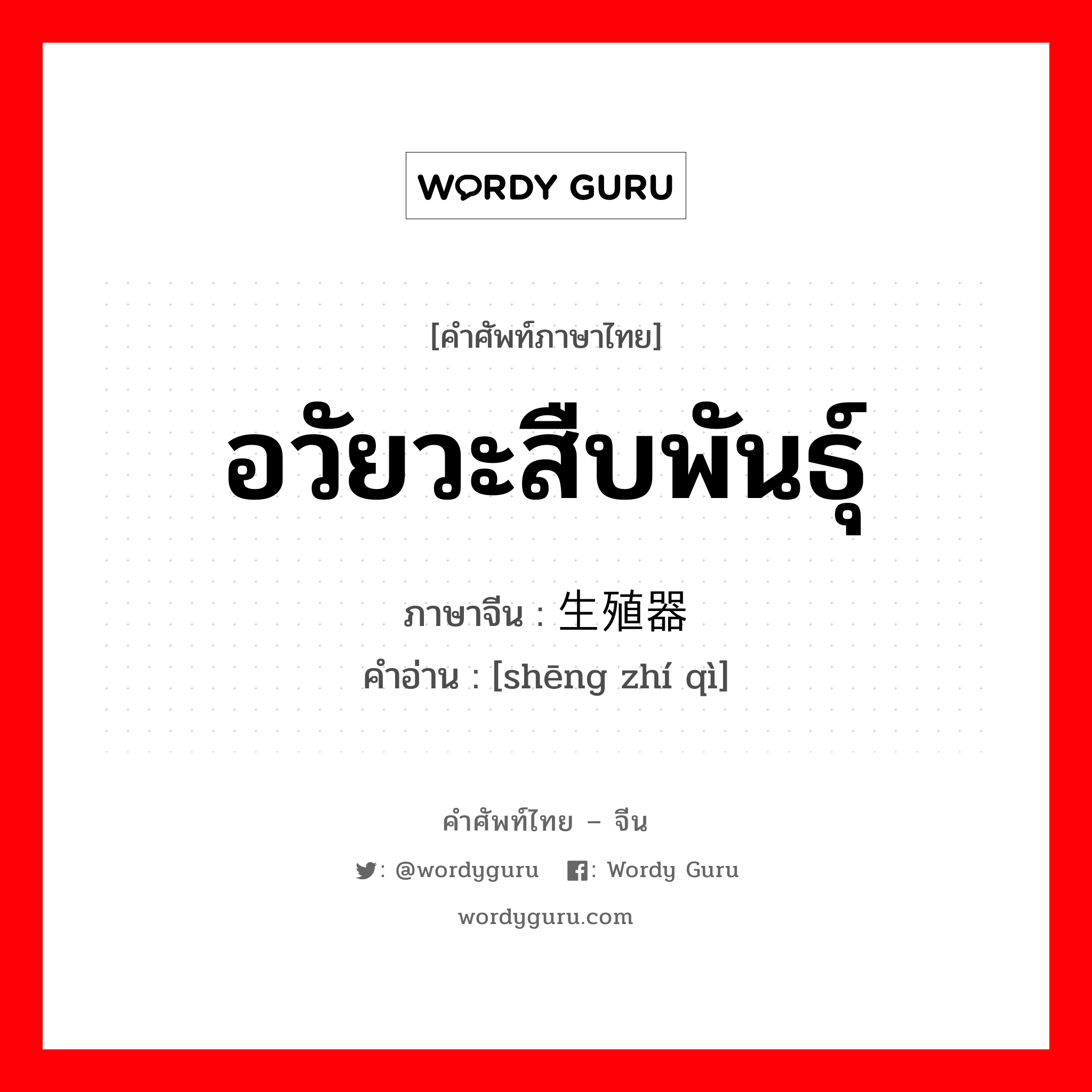 อวัยวะสืบพันธุ์ ภาษาจีนคืออะไร, คำศัพท์ภาษาไทย - จีน อวัยวะสืบพันธุ์ ภาษาจีน 生殖器 คำอ่าน [shēng zhí qì]