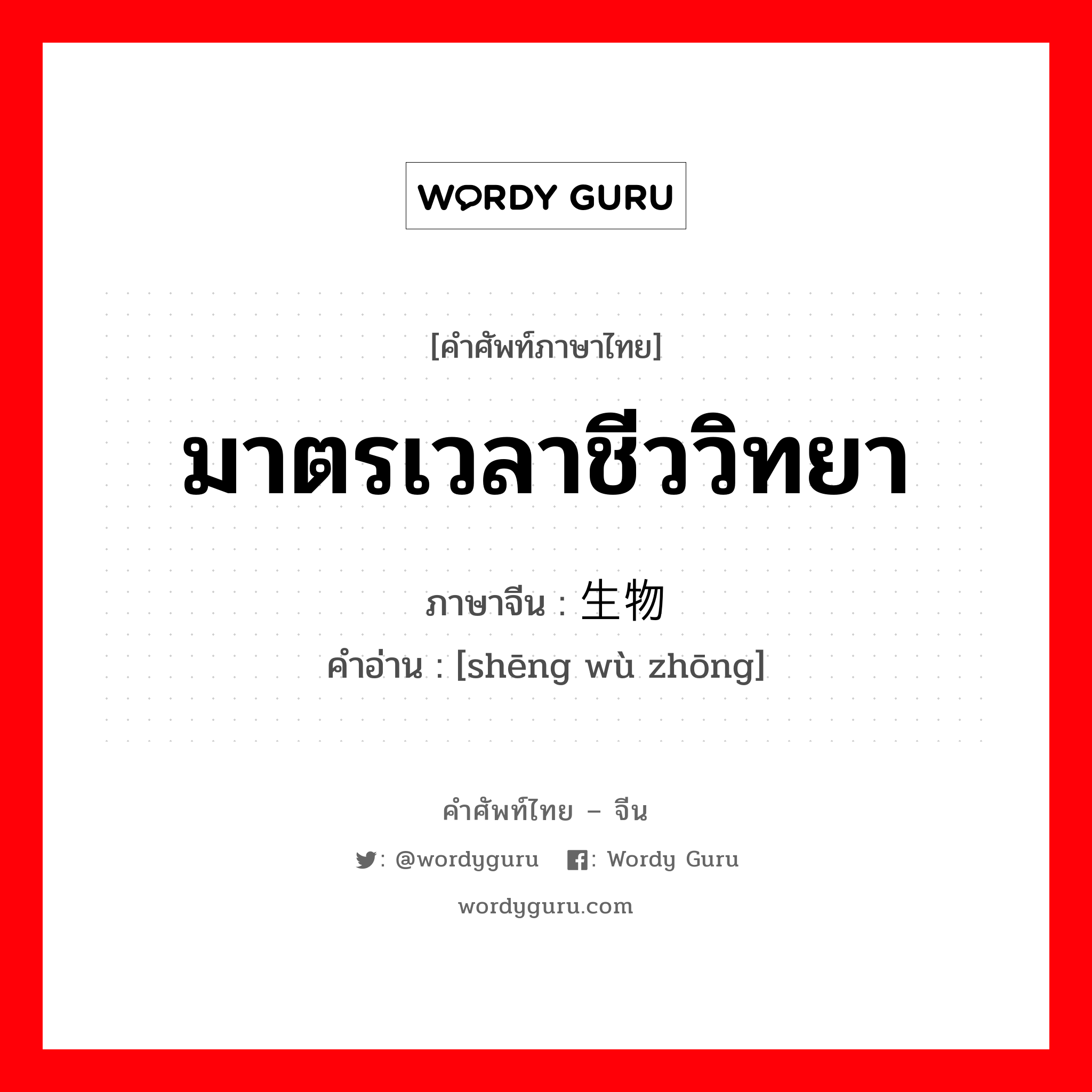 มาตรเวลาชีววิทยา ภาษาจีนคืออะไร, คำศัพท์ภาษาไทย - จีน มาตรเวลาชีววิทยา ภาษาจีน 生物钟 คำอ่าน [shēng wù zhōng]