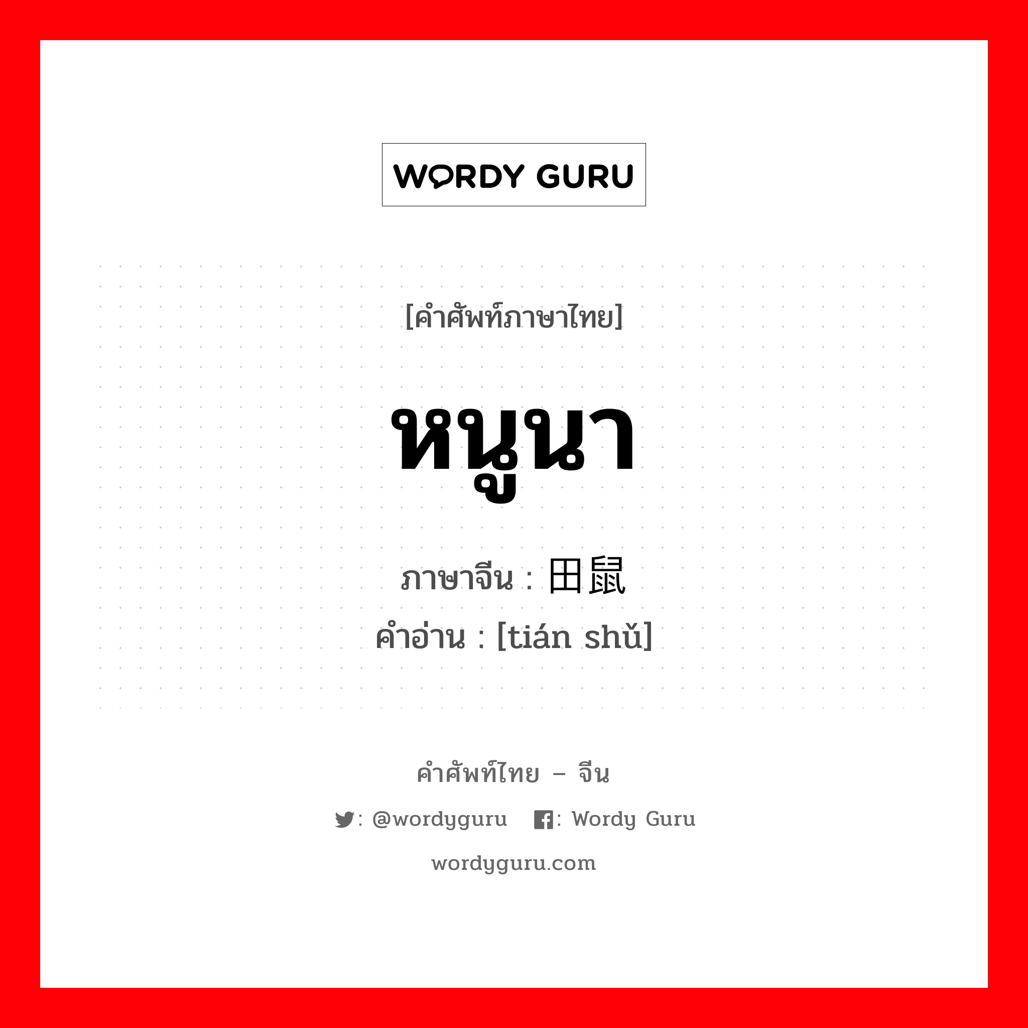 หนูนา ภาษาจีนคืออะไร, คำศัพท์ภาษาไทย - จีน หนูนา ภาษาจีน 田鼠 คำอ่าน [tián shǔ]