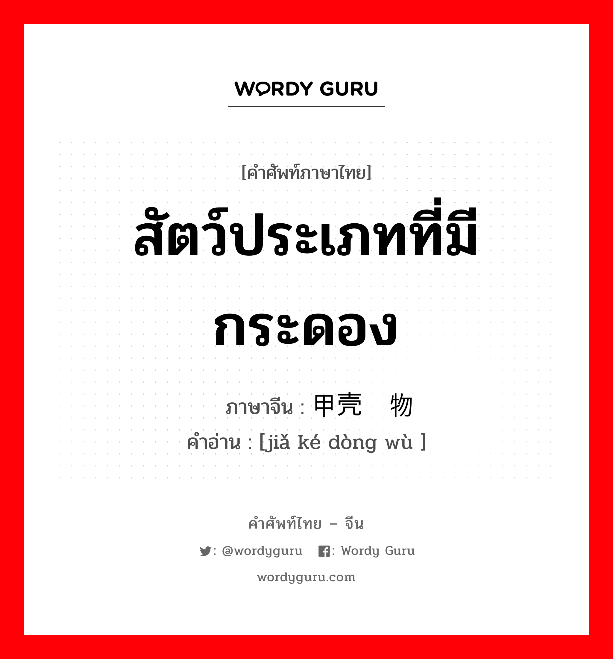 สัตว์ประเภทที่มีกระดอง ภาษาจีนคืออะไร, คำศัพท์ภาษาไทย - จีน สัตว์ประเภทที่มีกระดอง ภาษาจีน 甲壳动物 คำอ่าน [jiǎ ké dòng wù ]