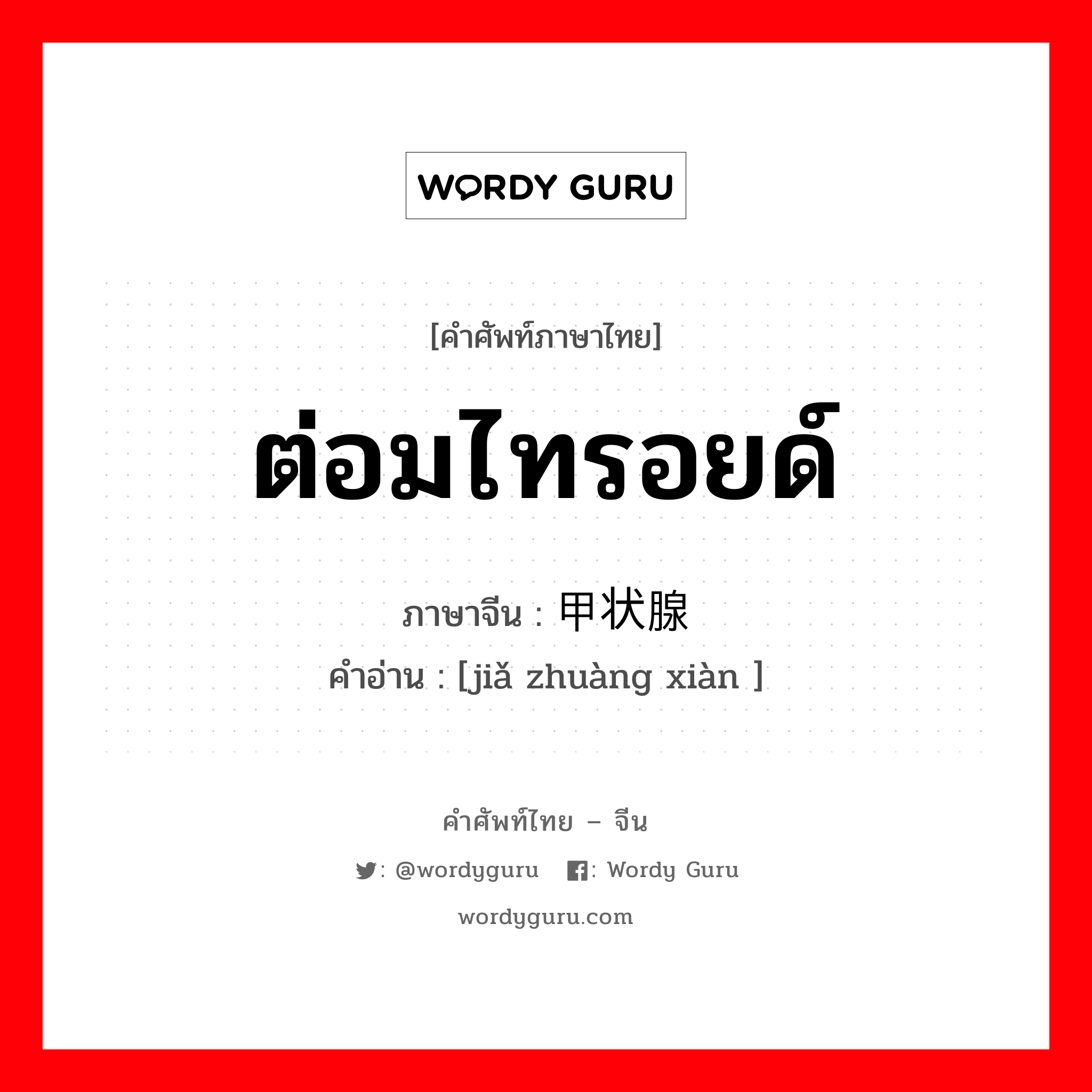 ต่อมไทรอยด์ ภาษาจีนคืออะไร, คำศัพท์ภาษาไทย - จีน ต่อมไทรอยด์ ภาษาจีน 甲状腺 คำอ่าน [jiǎ zhuàng xiàn ]