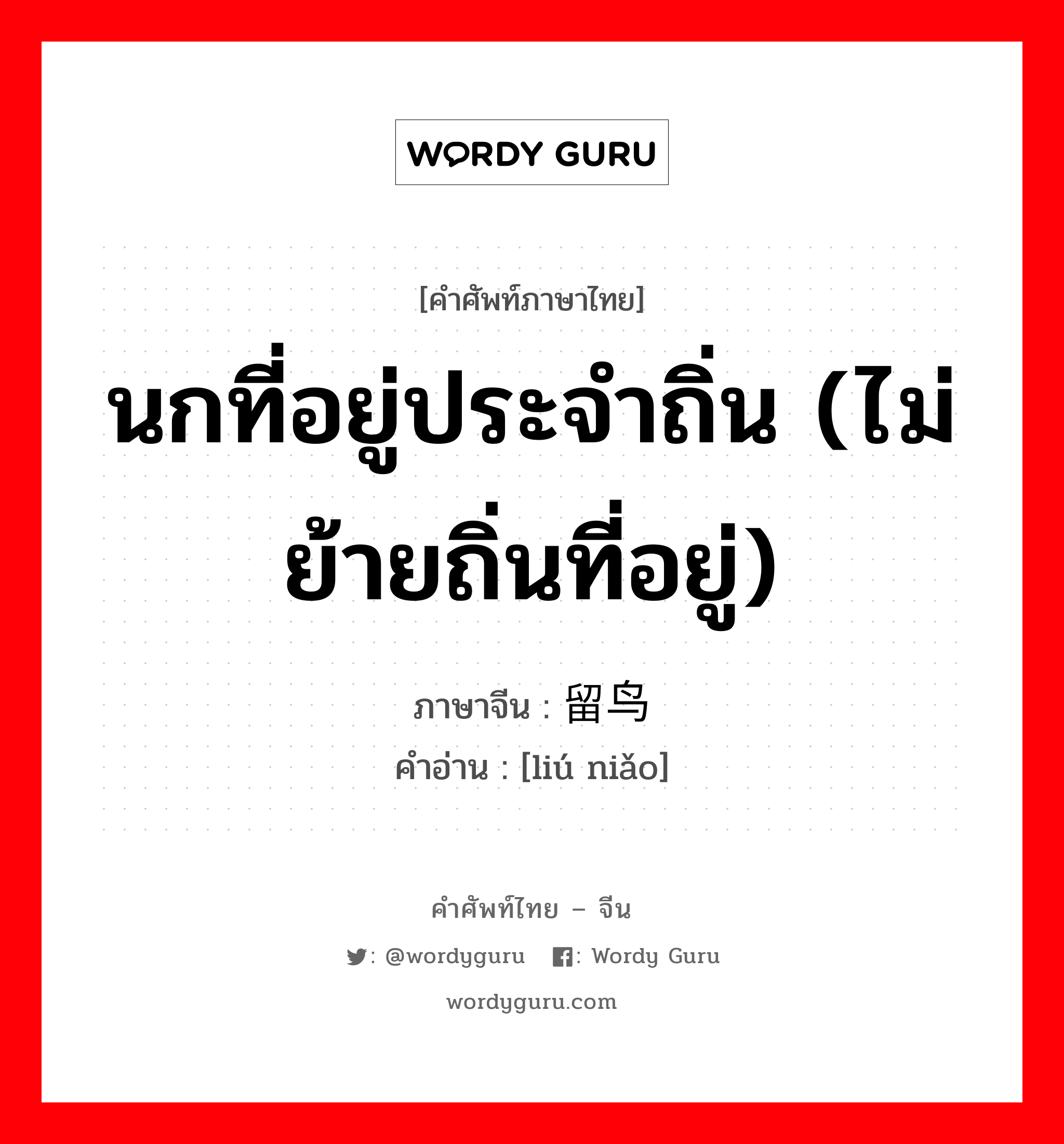 นกที่อยู่ประจำถิ่น (ไม่ย้ายถิ่นที่อยู่) ภาษาจีนคืออะไร, คำศัพท์ภาษาไทย - จีน นกที่อยู่ประจำถิ่น (ไม่ย้ายถิ่นที่อยู่) ภาษาจีน 留鸟 คำอ่าน [liú niǎo]